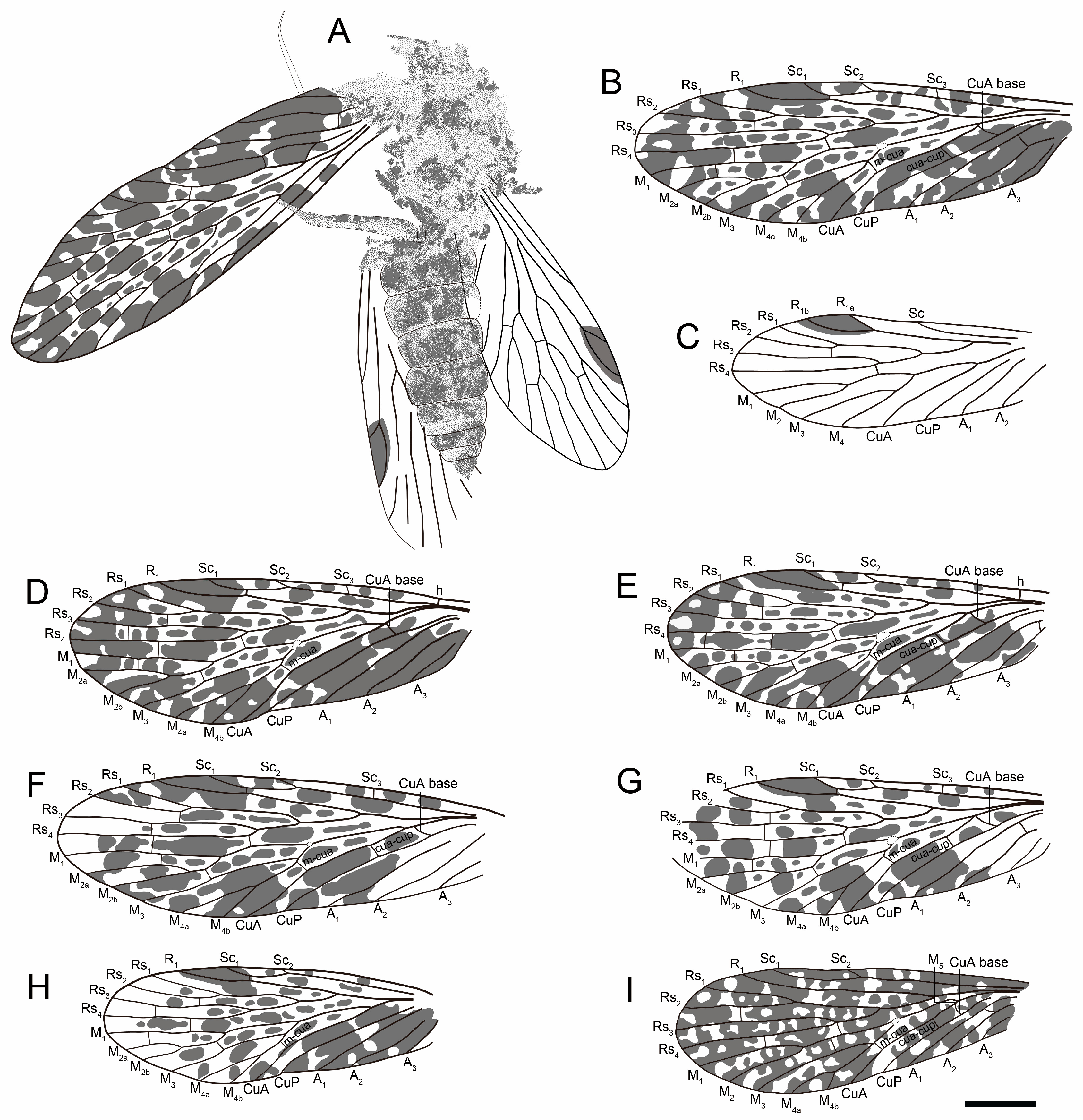 Insects 16 01130 g003 Insects 16 01130 g003