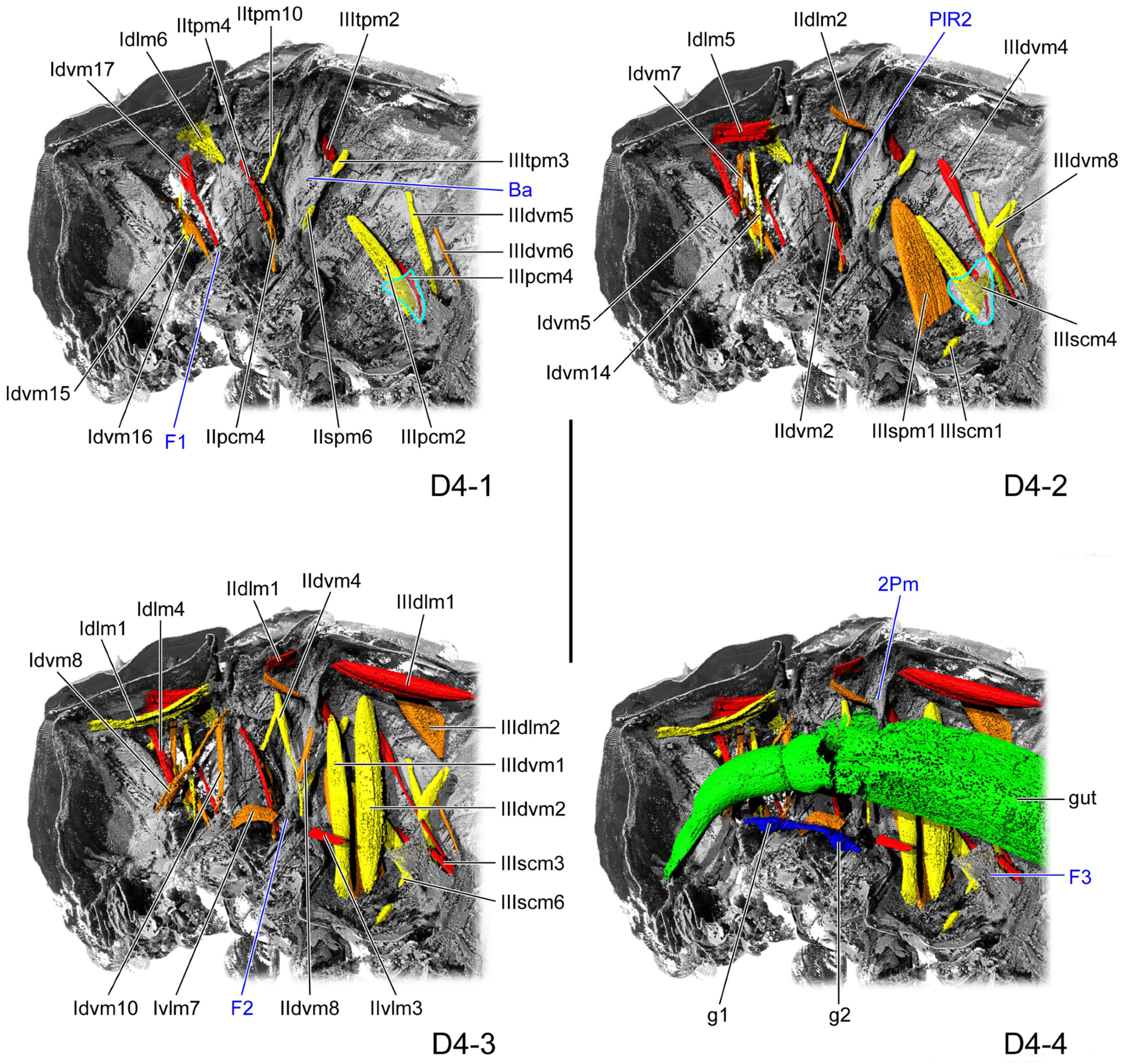 Insects 16 01133 g004