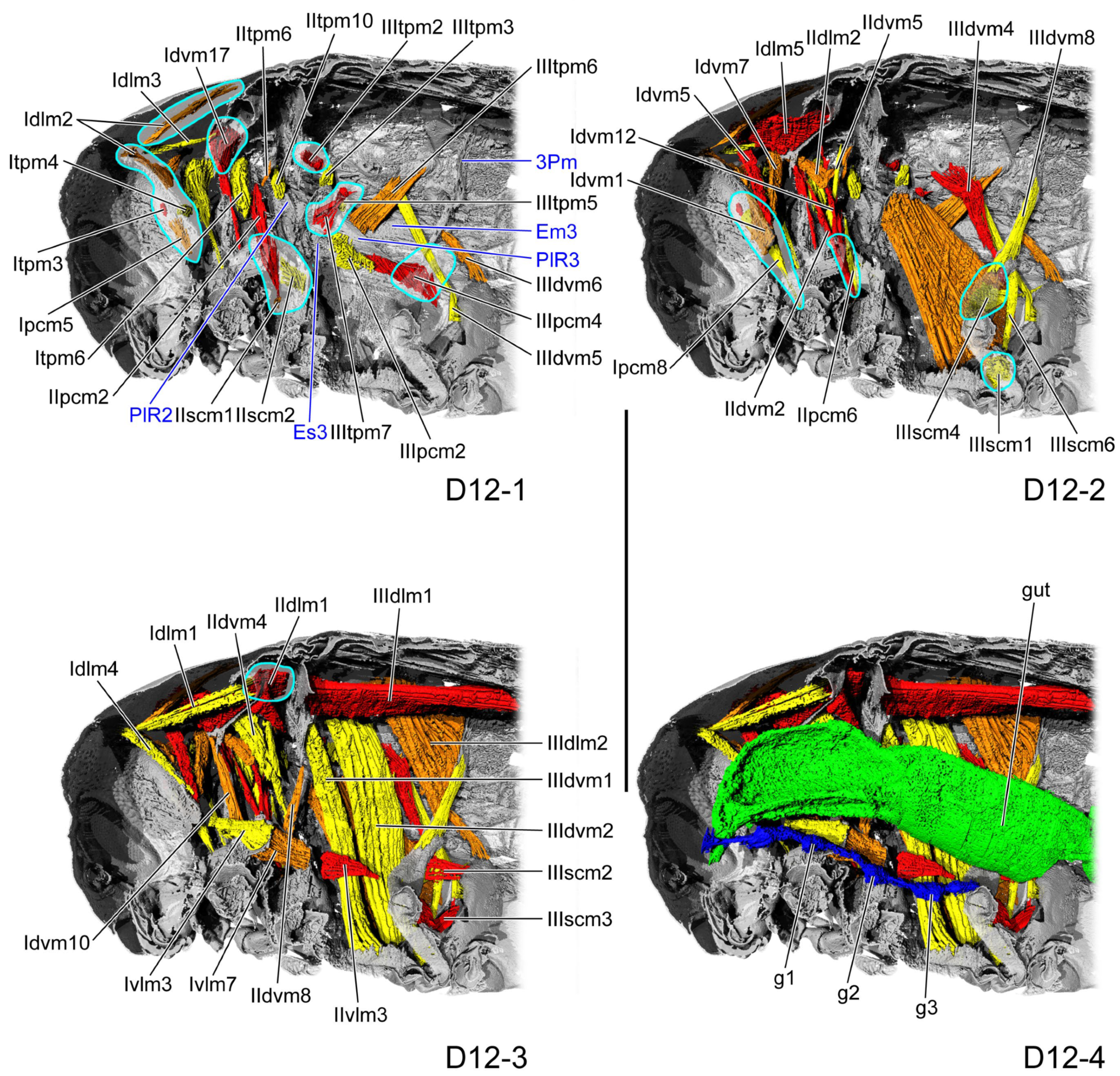 Insects 16 01133 g009