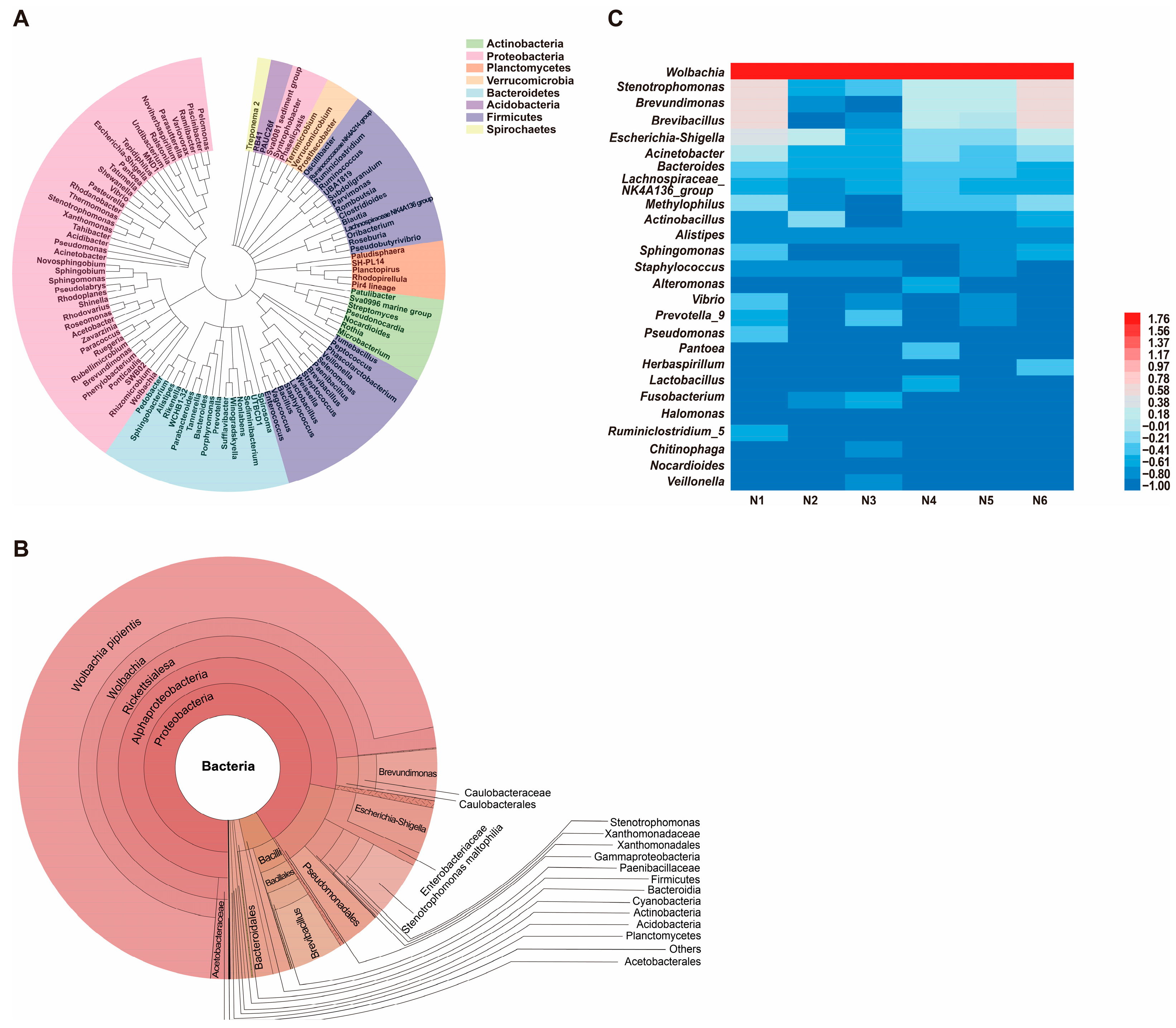Insects 16 01135 g001 Insects 16 01135 g001