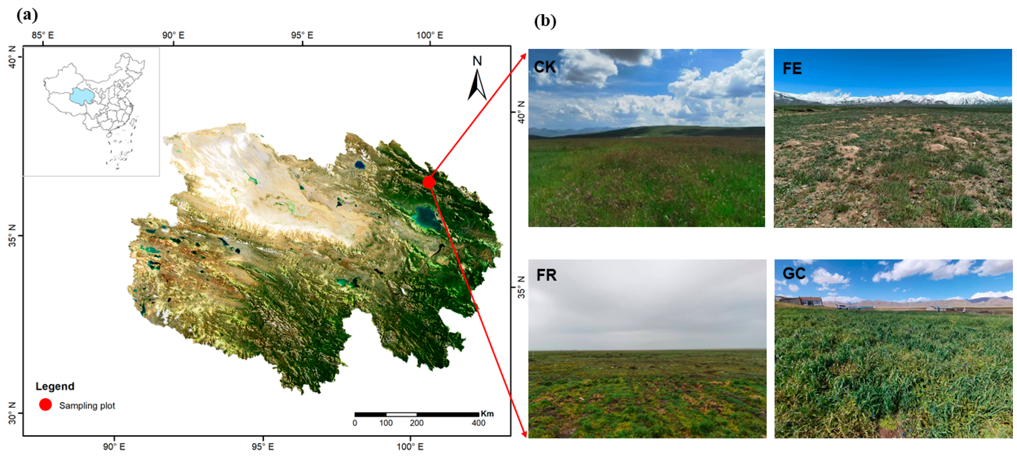 Insects 16 01140 g001 Insects 16 01140 g001