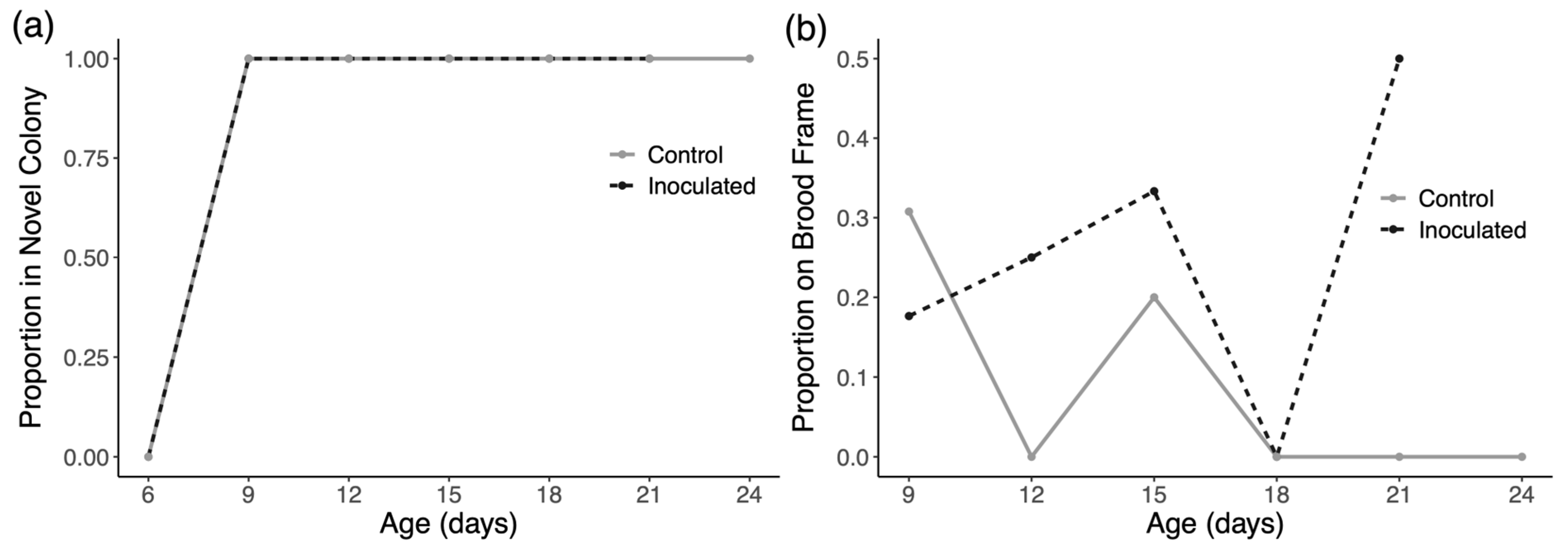 Insects 16 01142 g005 Insects 16 01142 g005