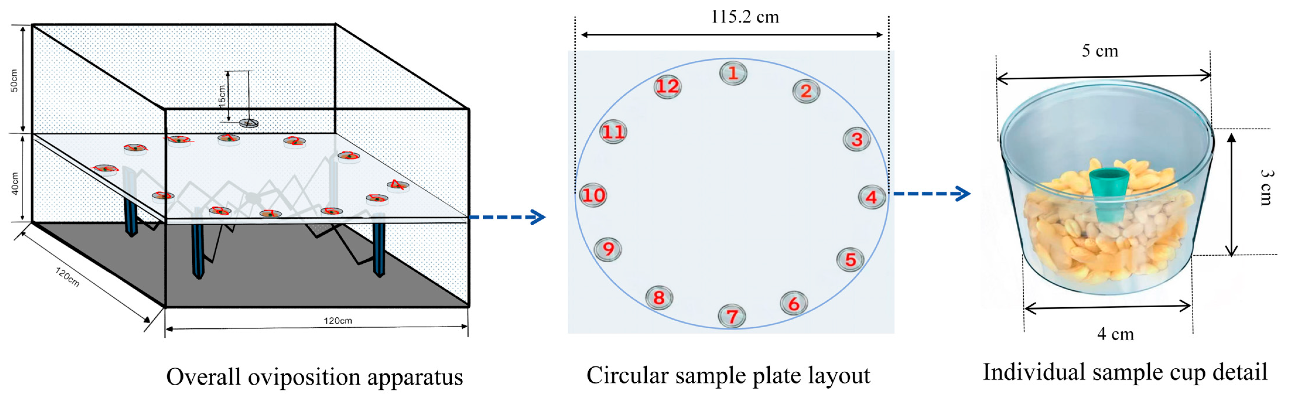 Insects 16 01145 g002 Insects 16 01145 g002