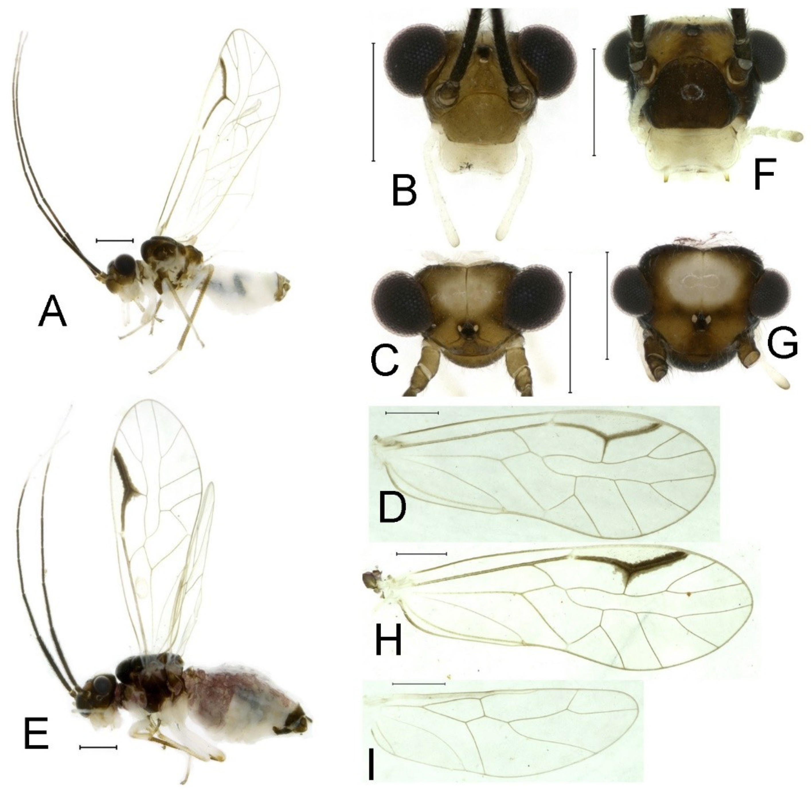 Insects 16 01147 g002