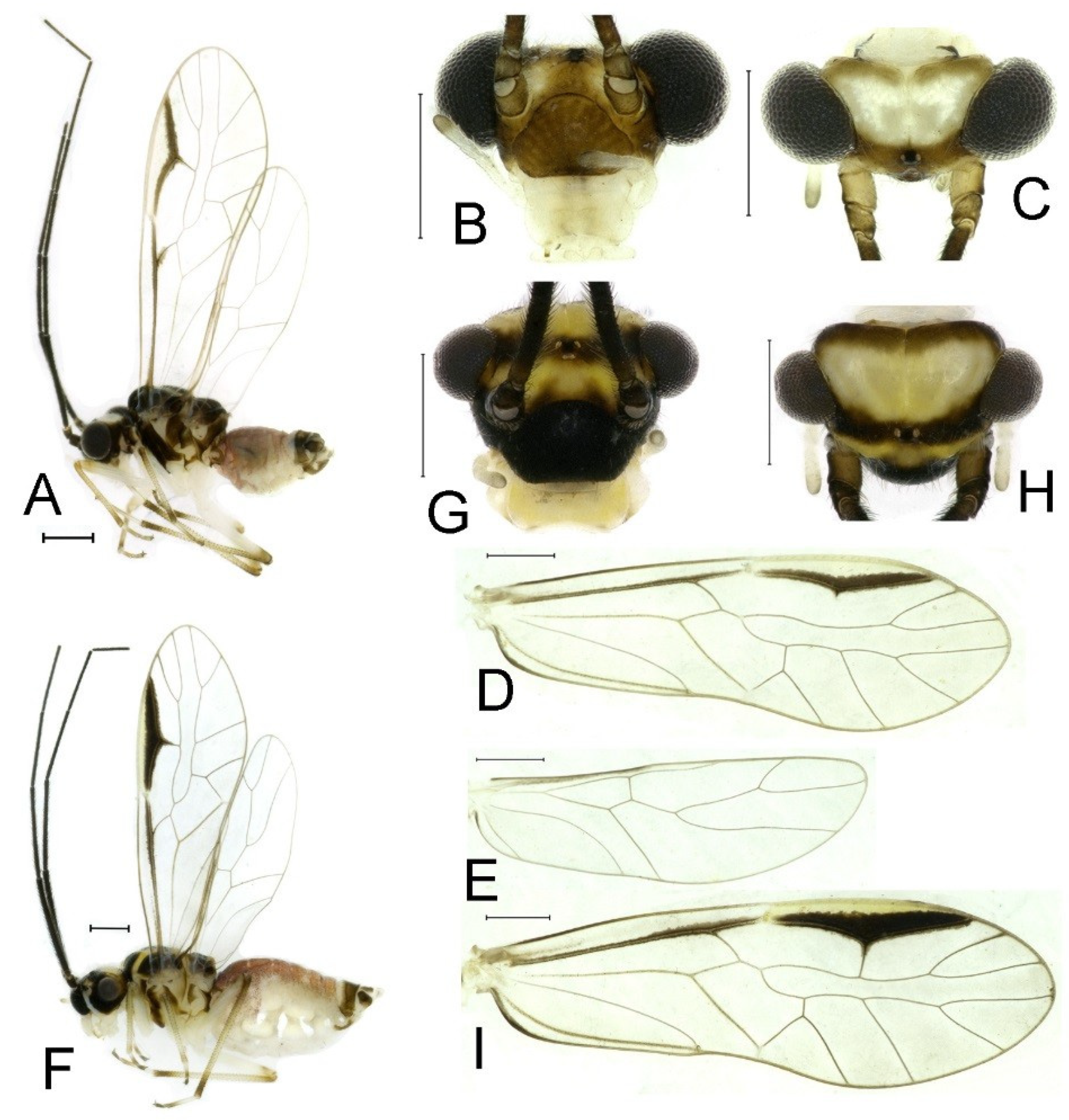 Insects 16 01147 g006