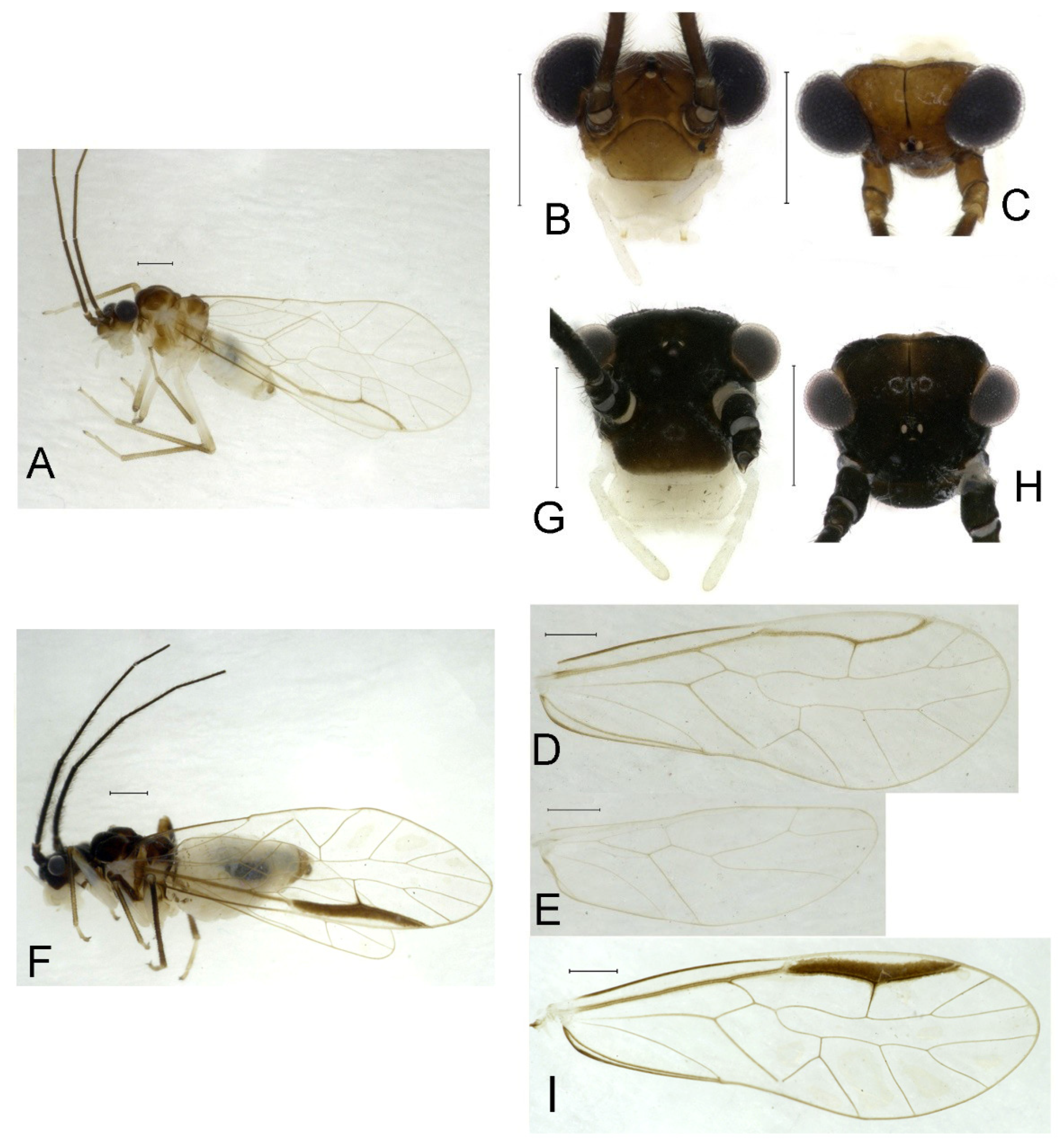 Insects 16 01147 g017