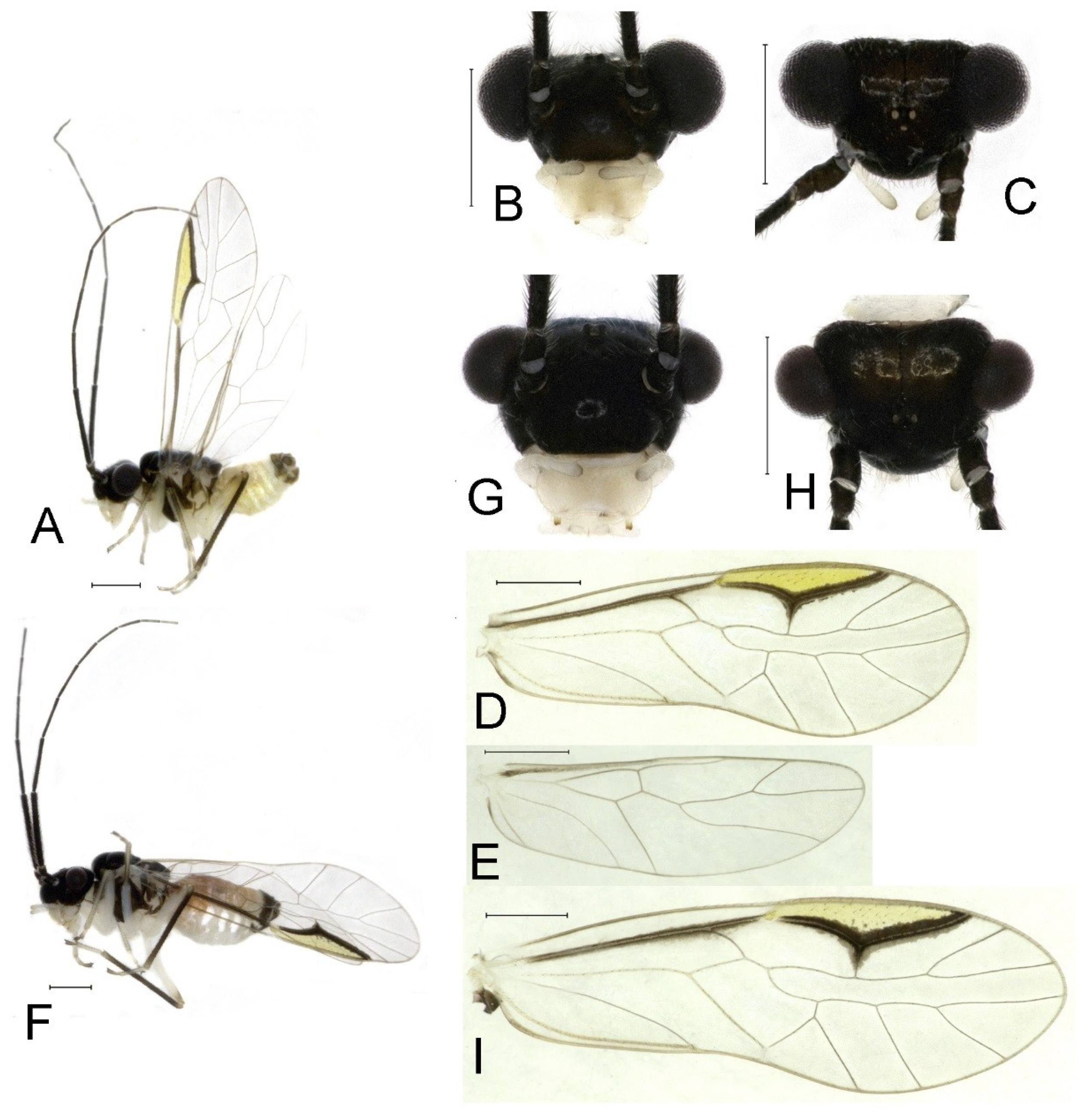 Insects 16 01147 g021