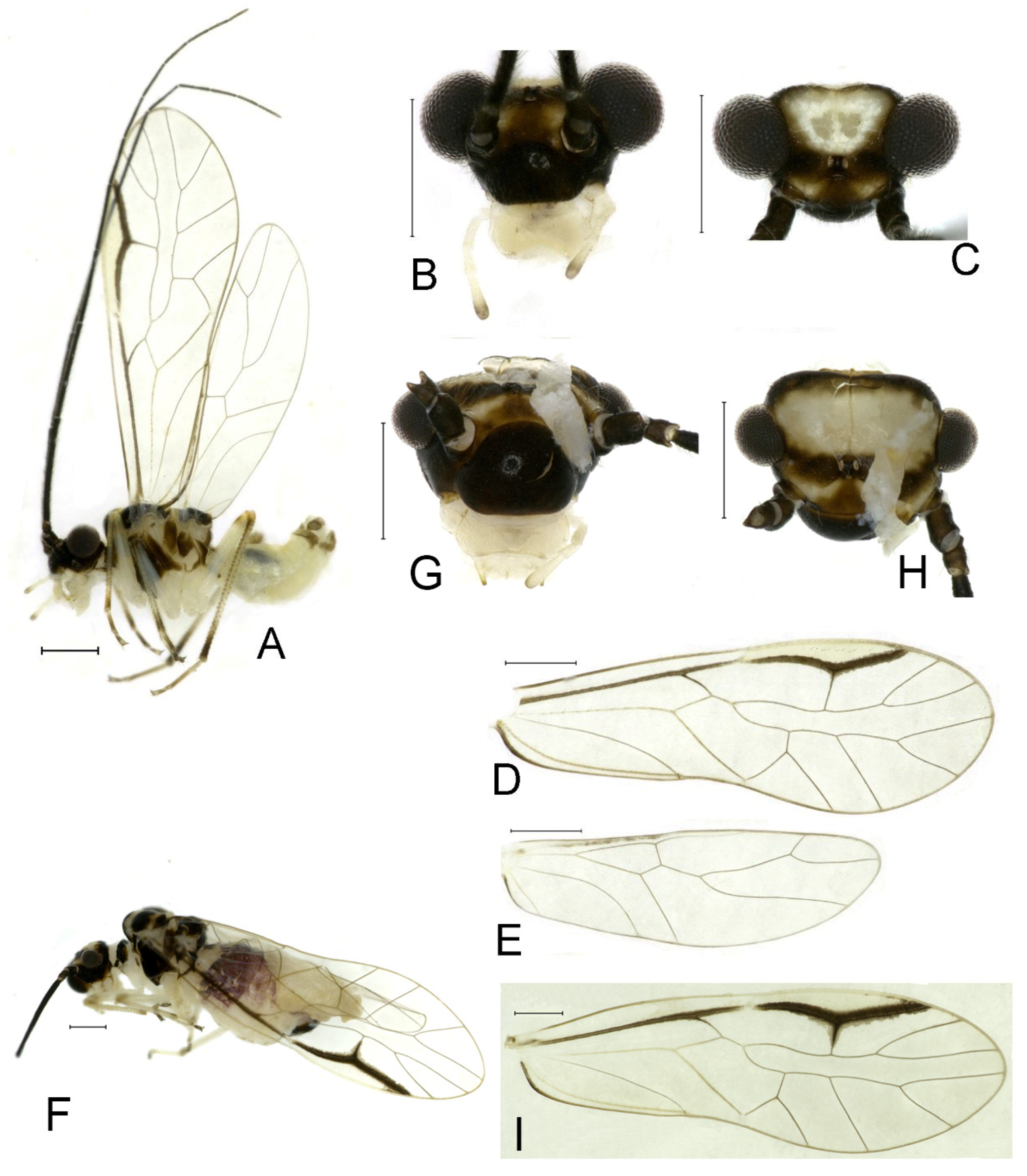 Insects 16 01147 g023