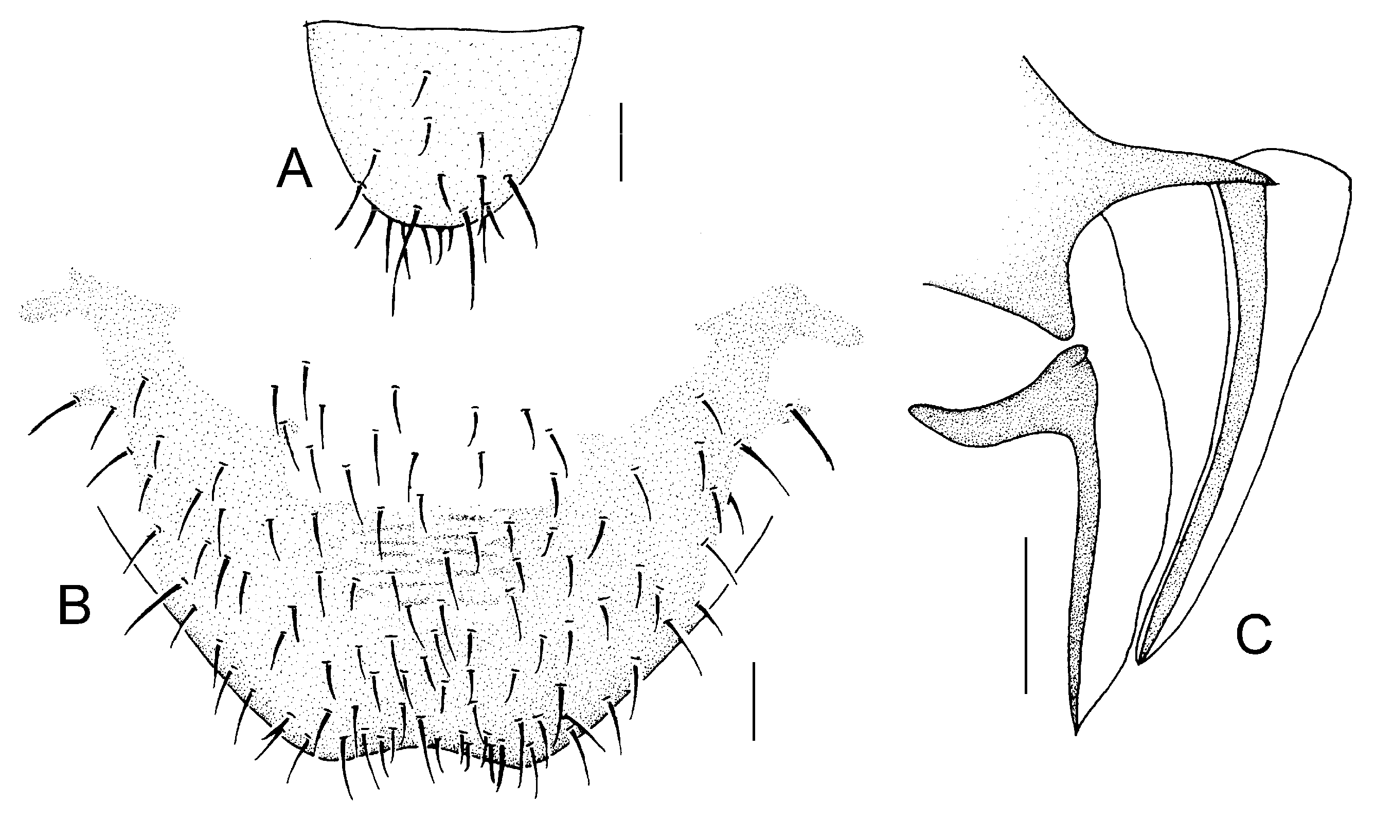 Insects 16 01147 g026