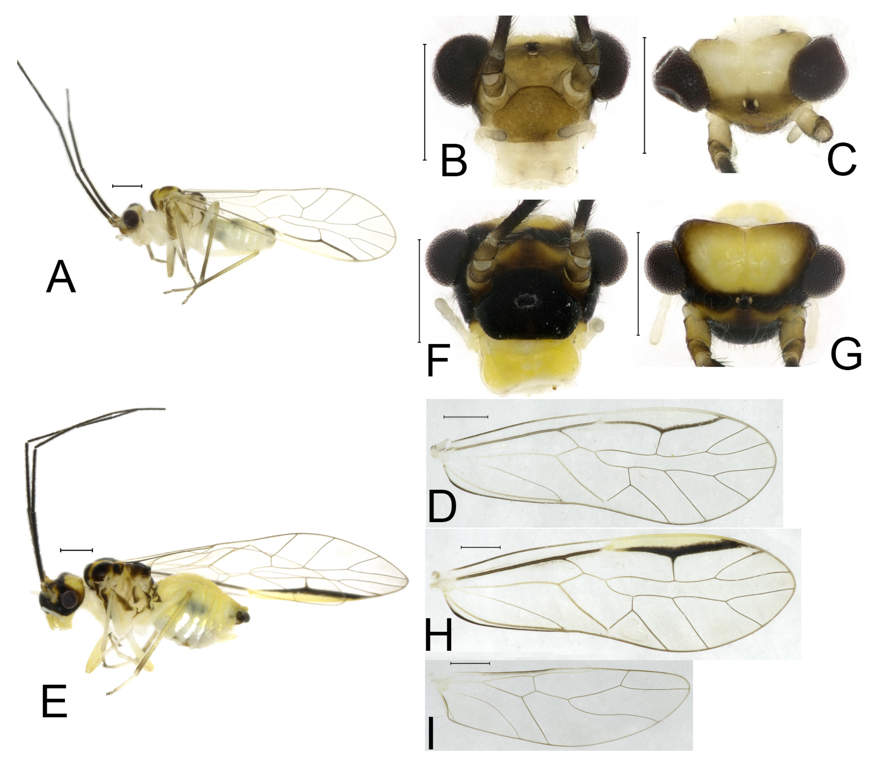 Insects 16 01147 g027