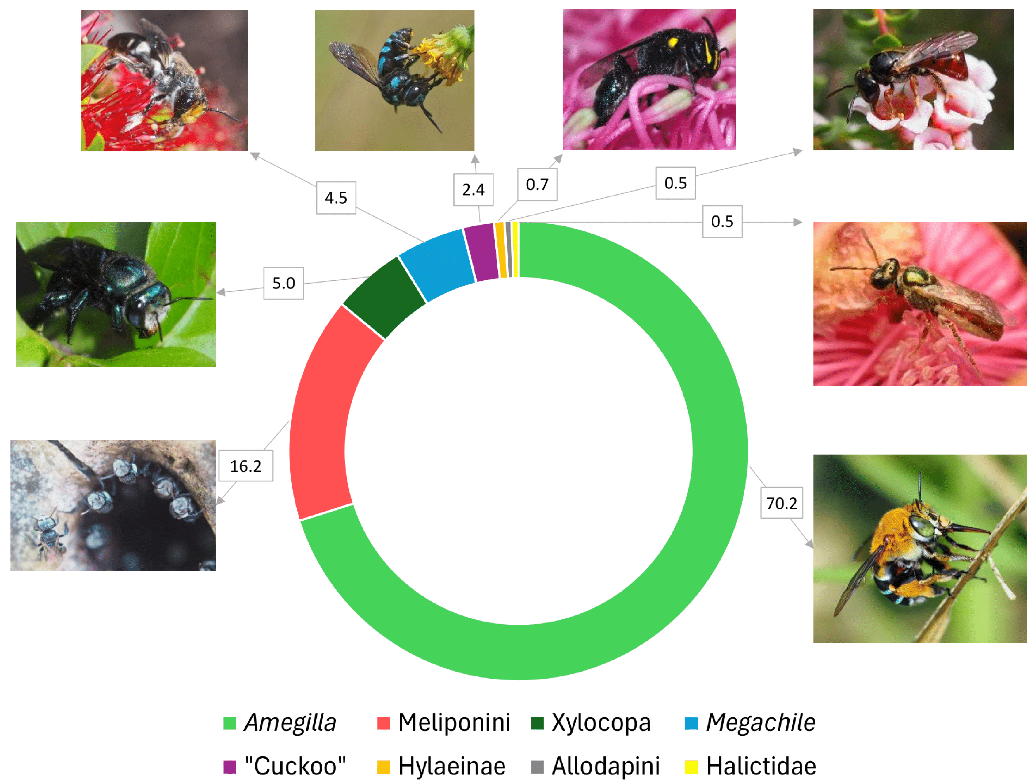 Insects 16 01149 g001