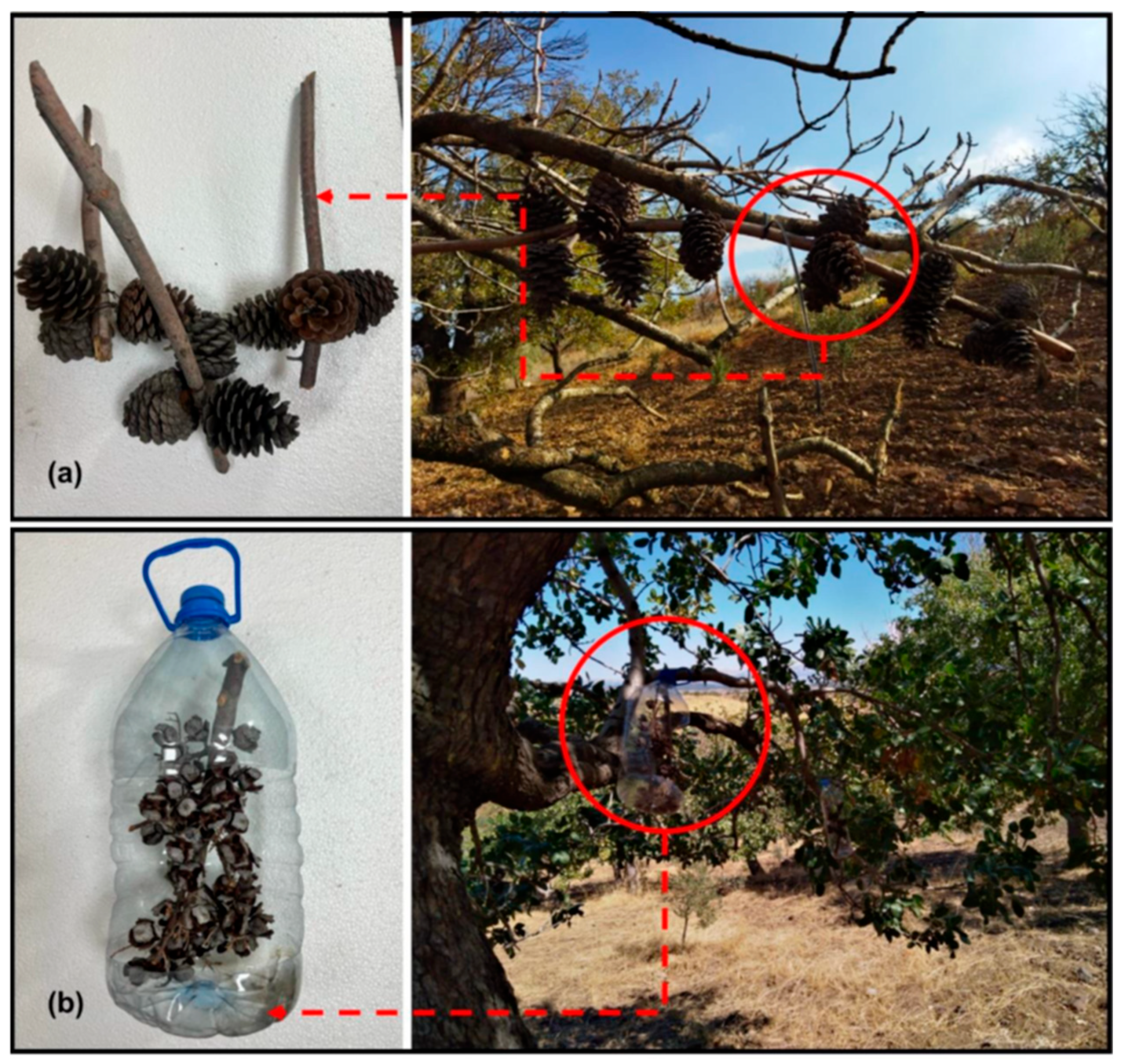 Insects 16 01150 g002