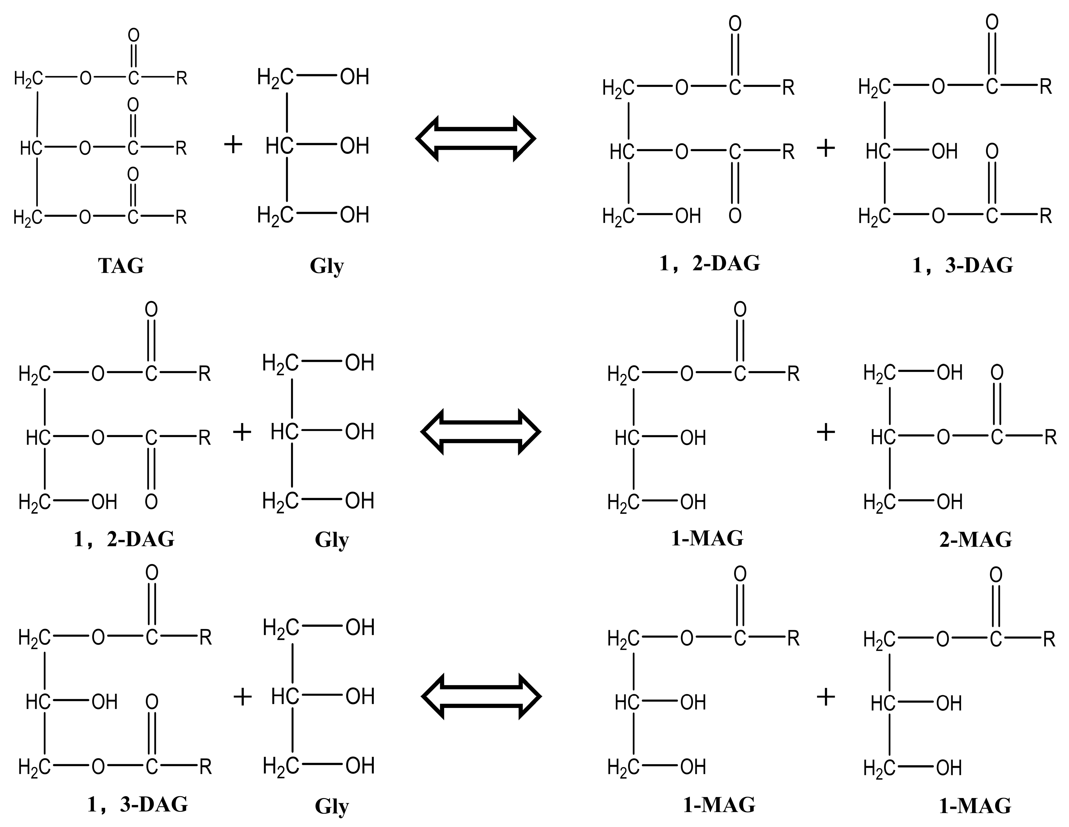 Insects 16 01163 g001
