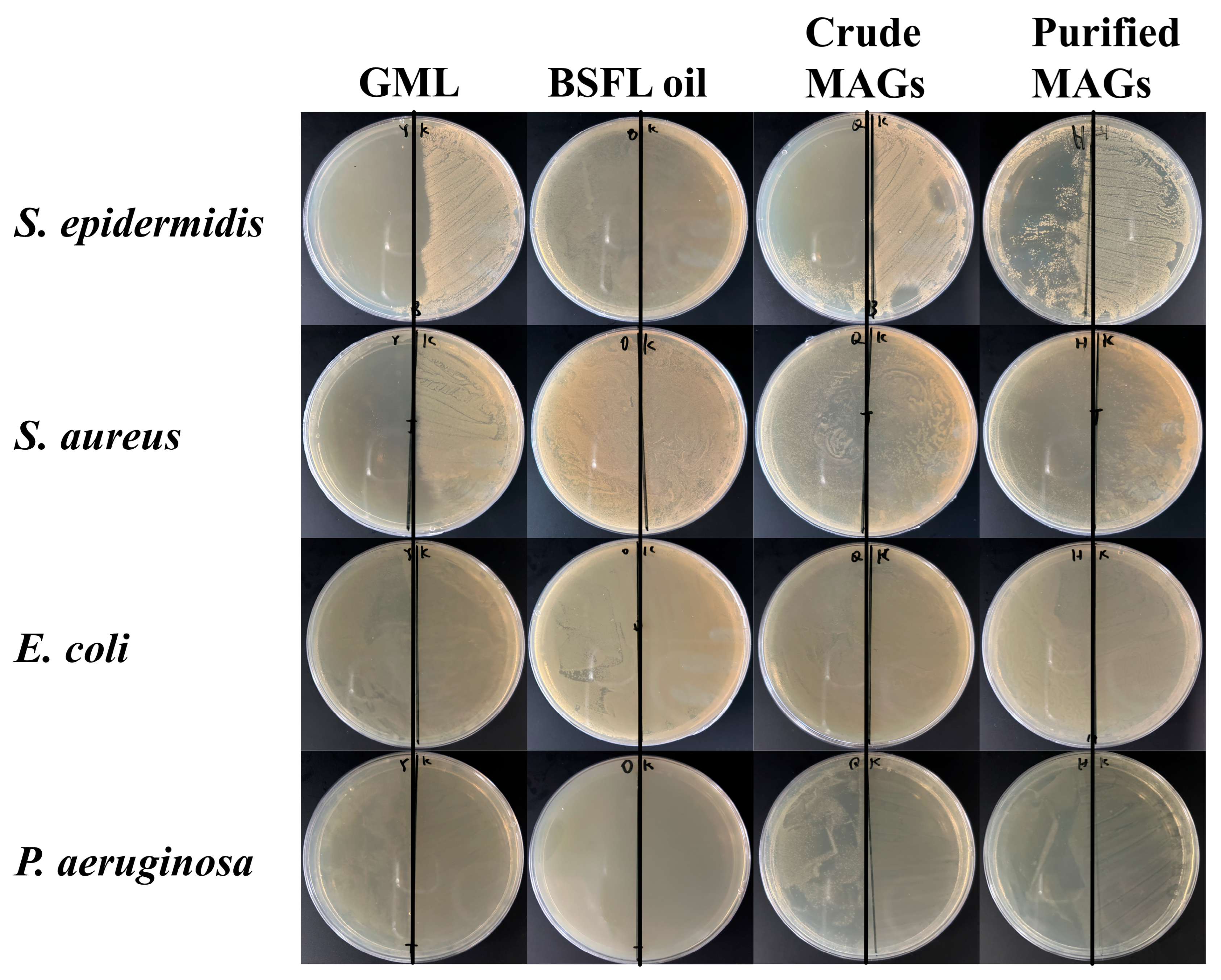 Insects 16 01163 g007