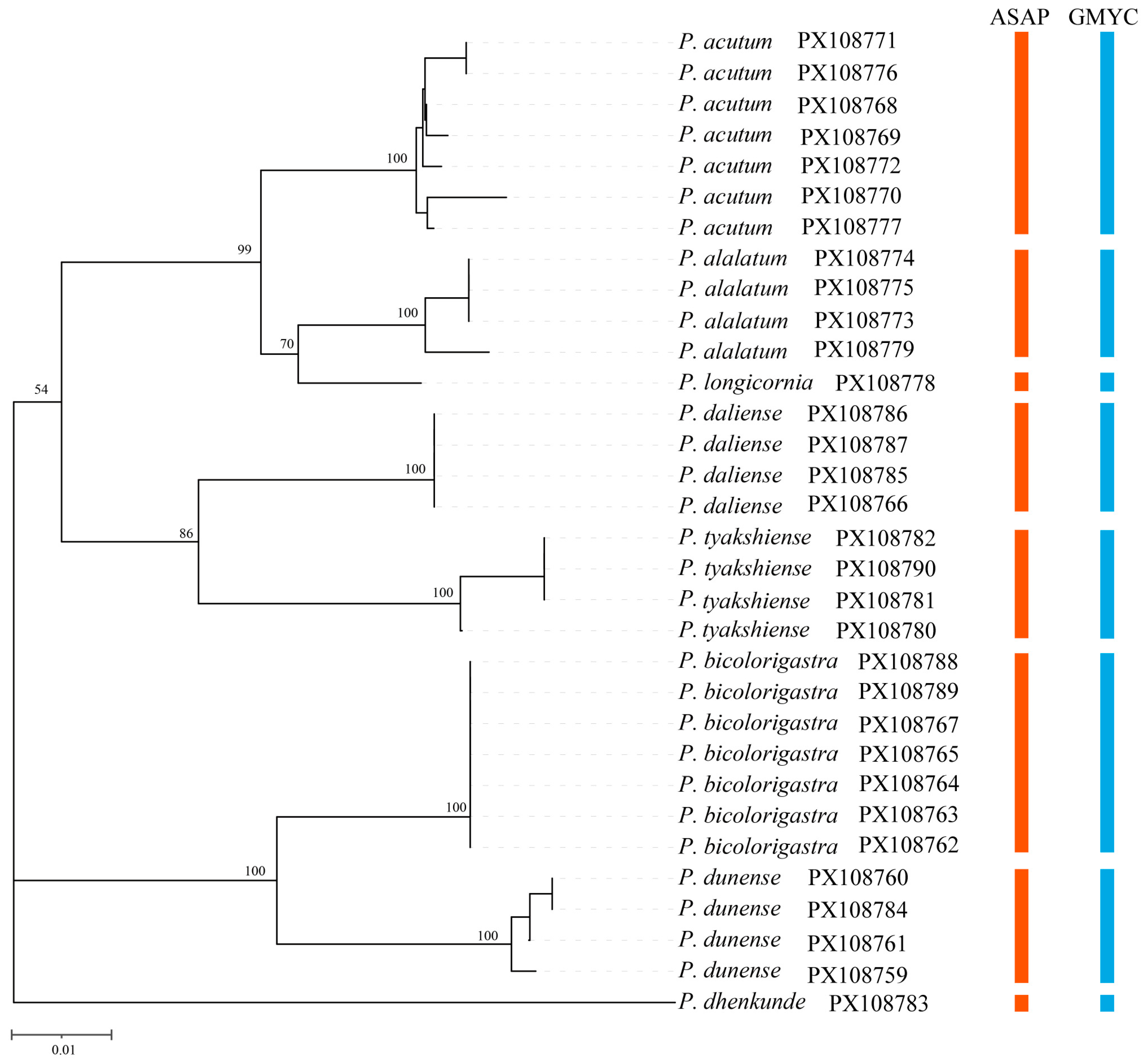 Insects 16 01166 g001
