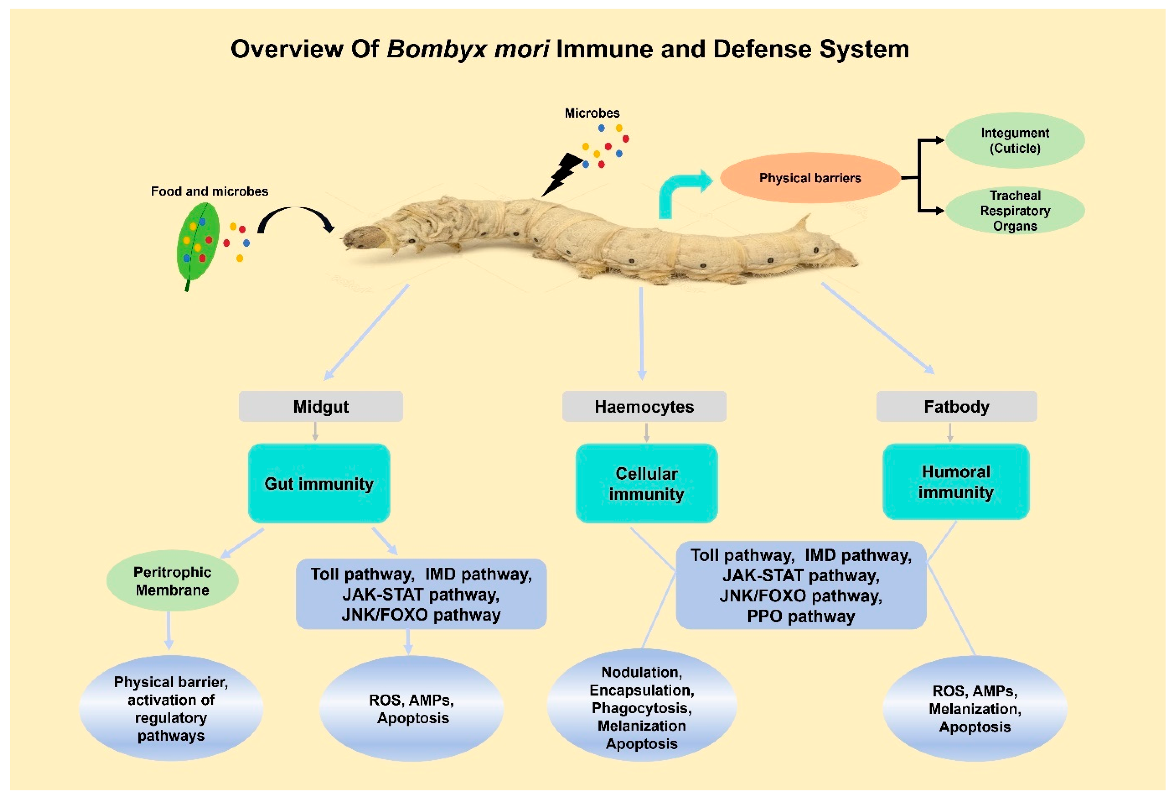 Insects 16 01167 g001