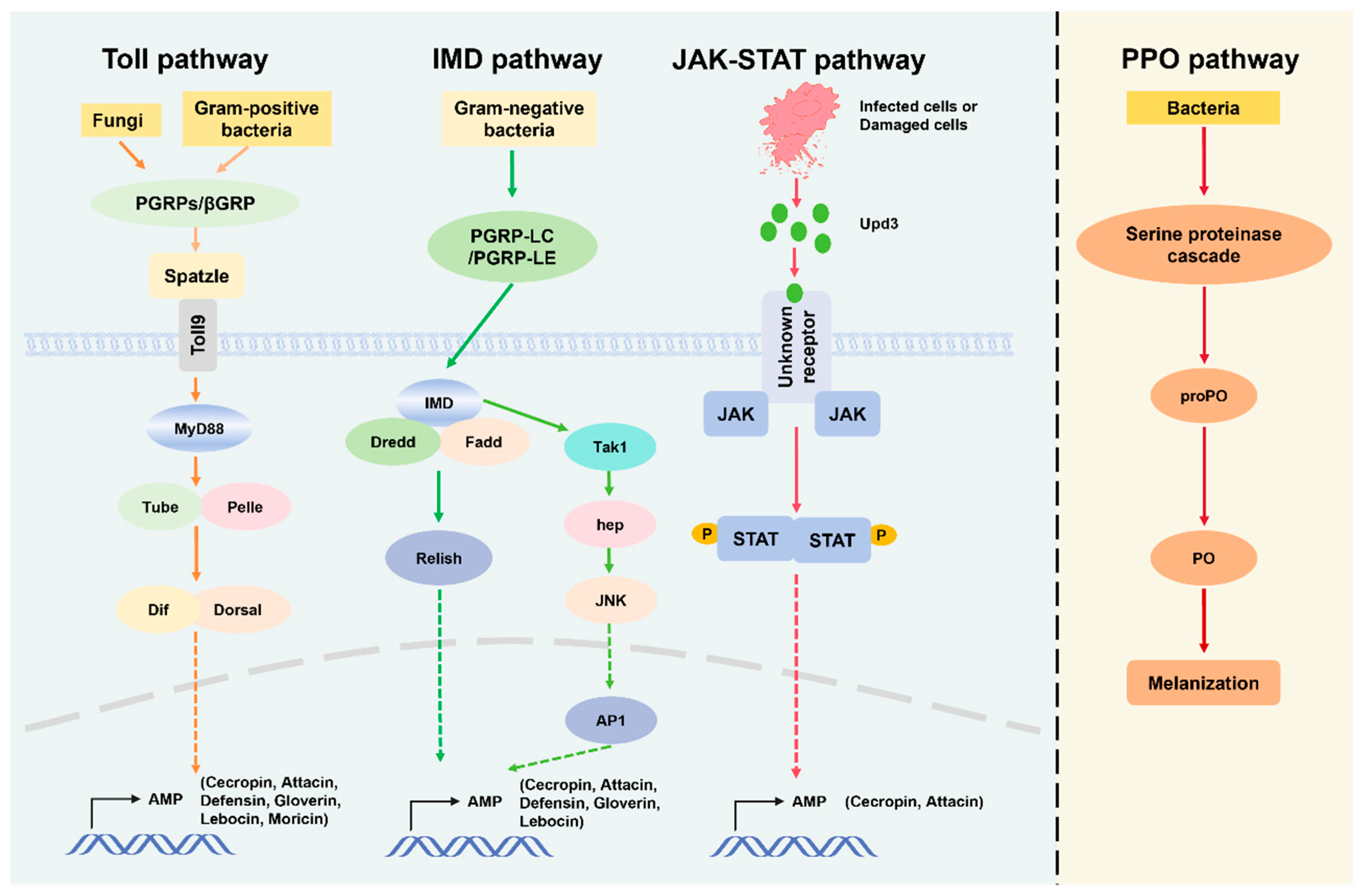 Insects 16 01167 g002