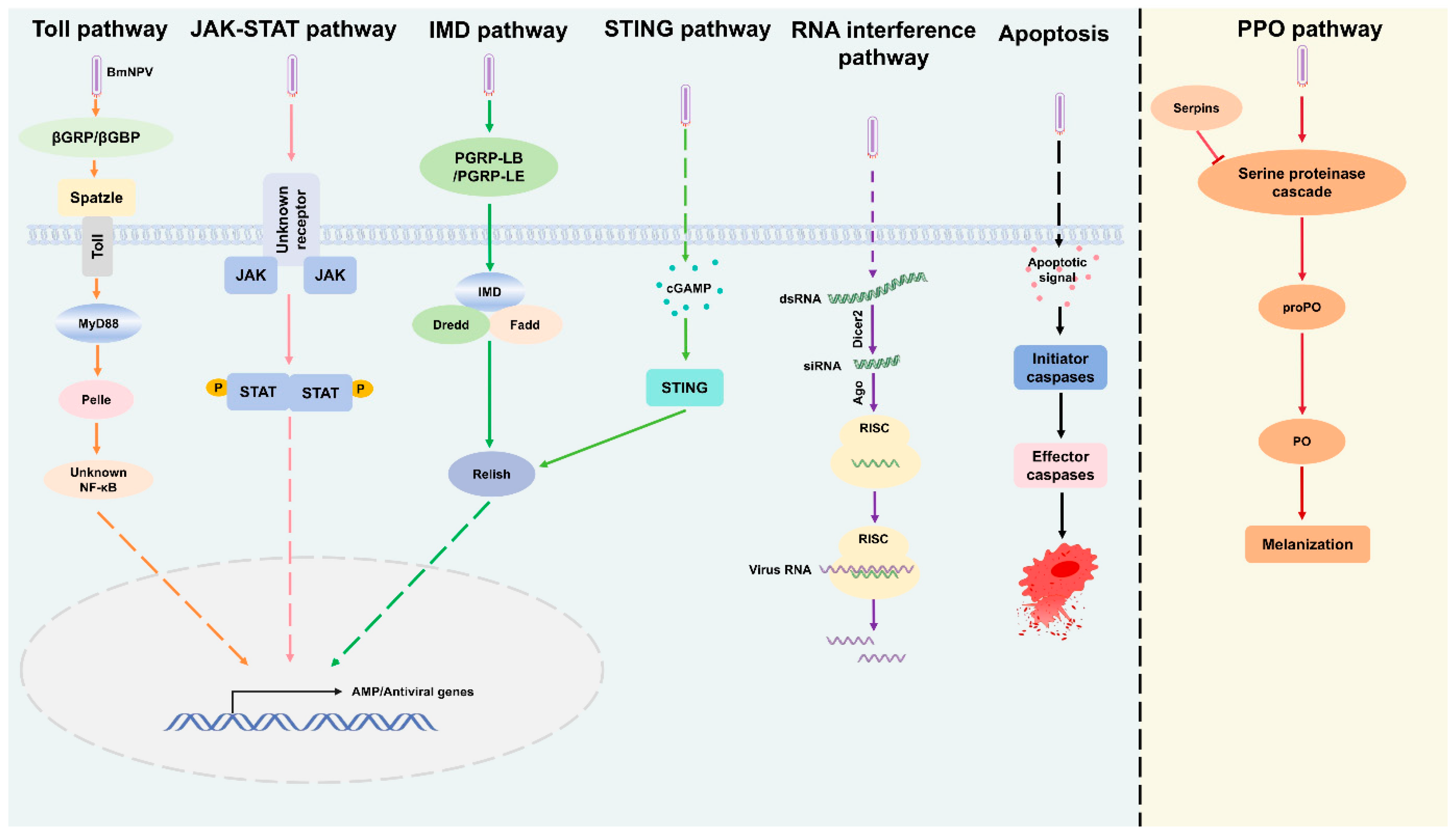 Insects 16 01167 g003