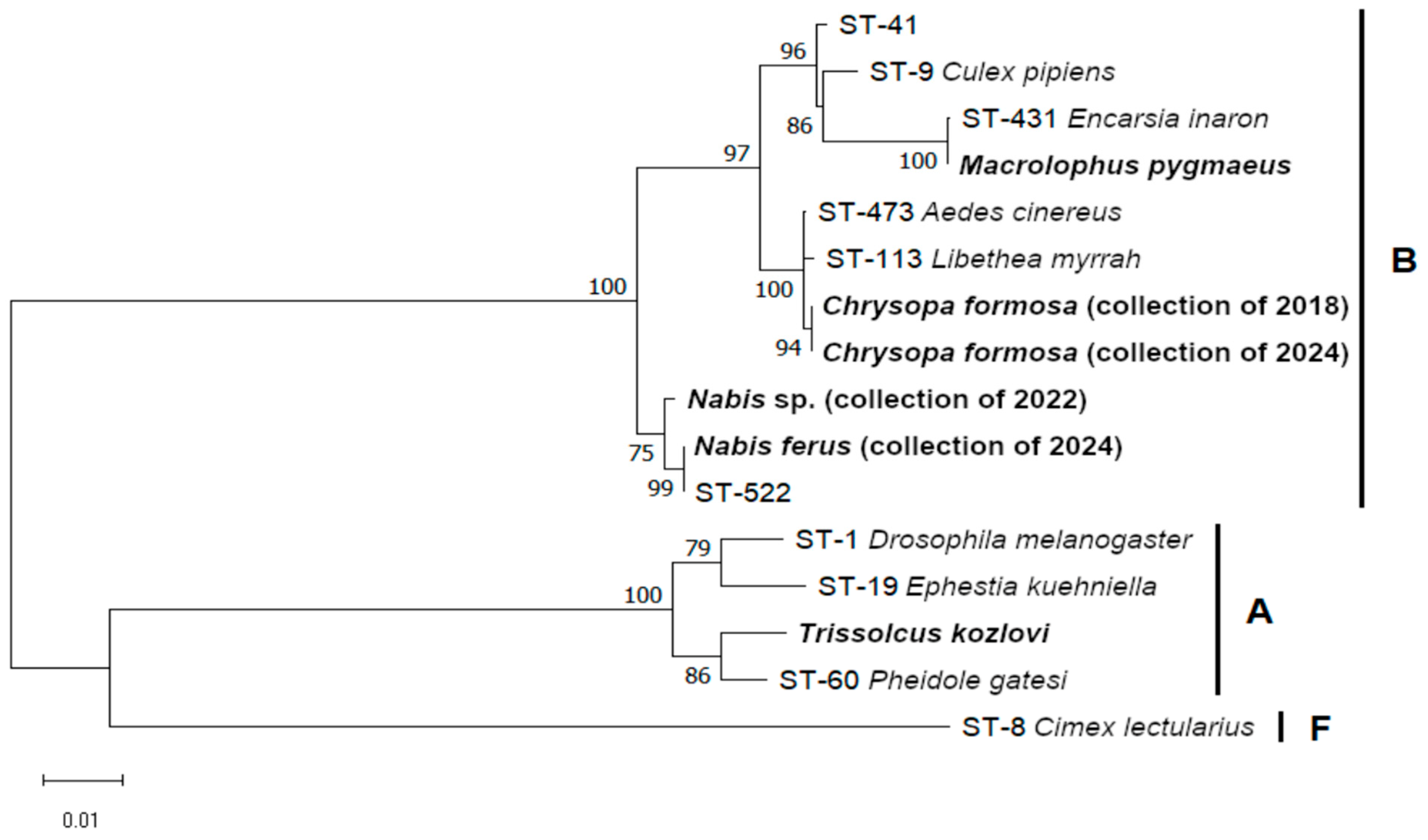Insects 16 01168 g001