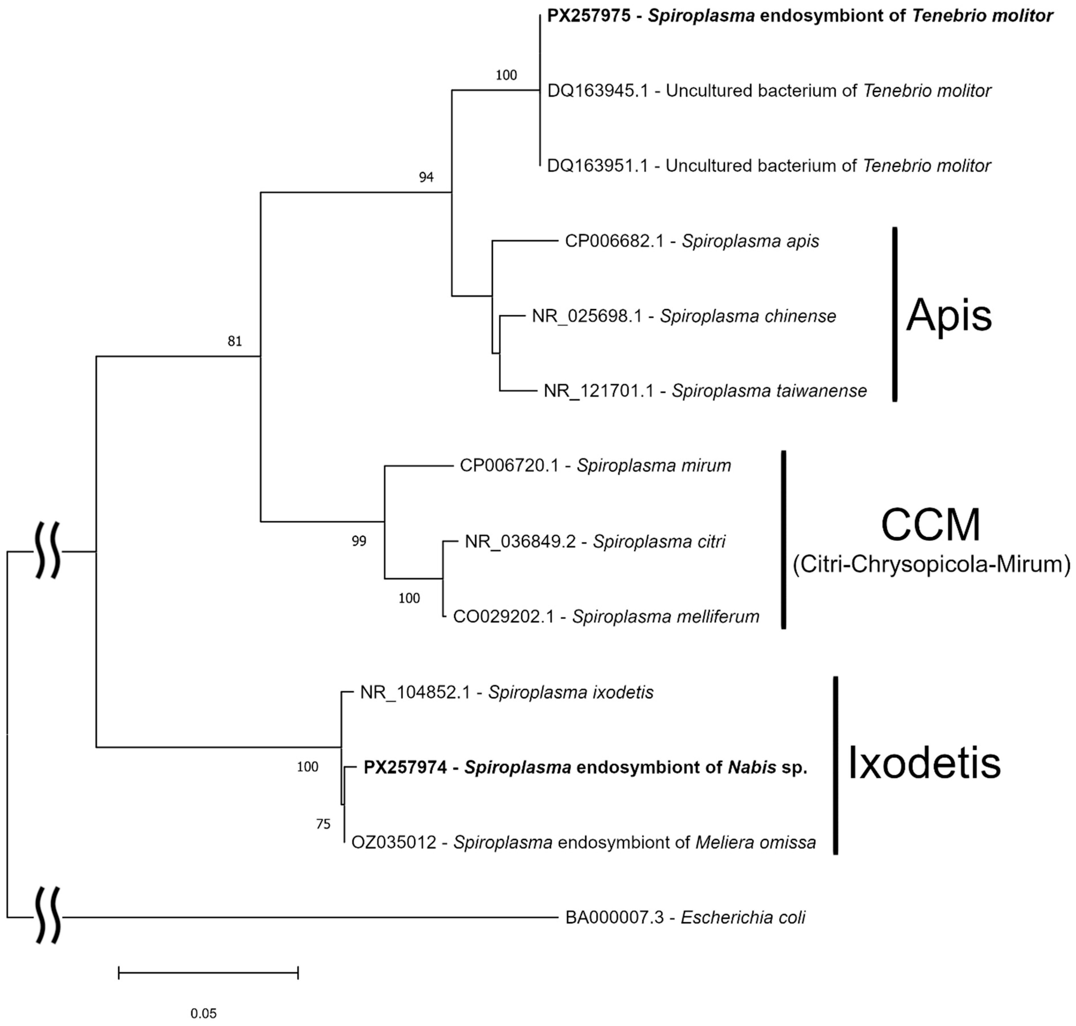 Insects 16 01168 g002