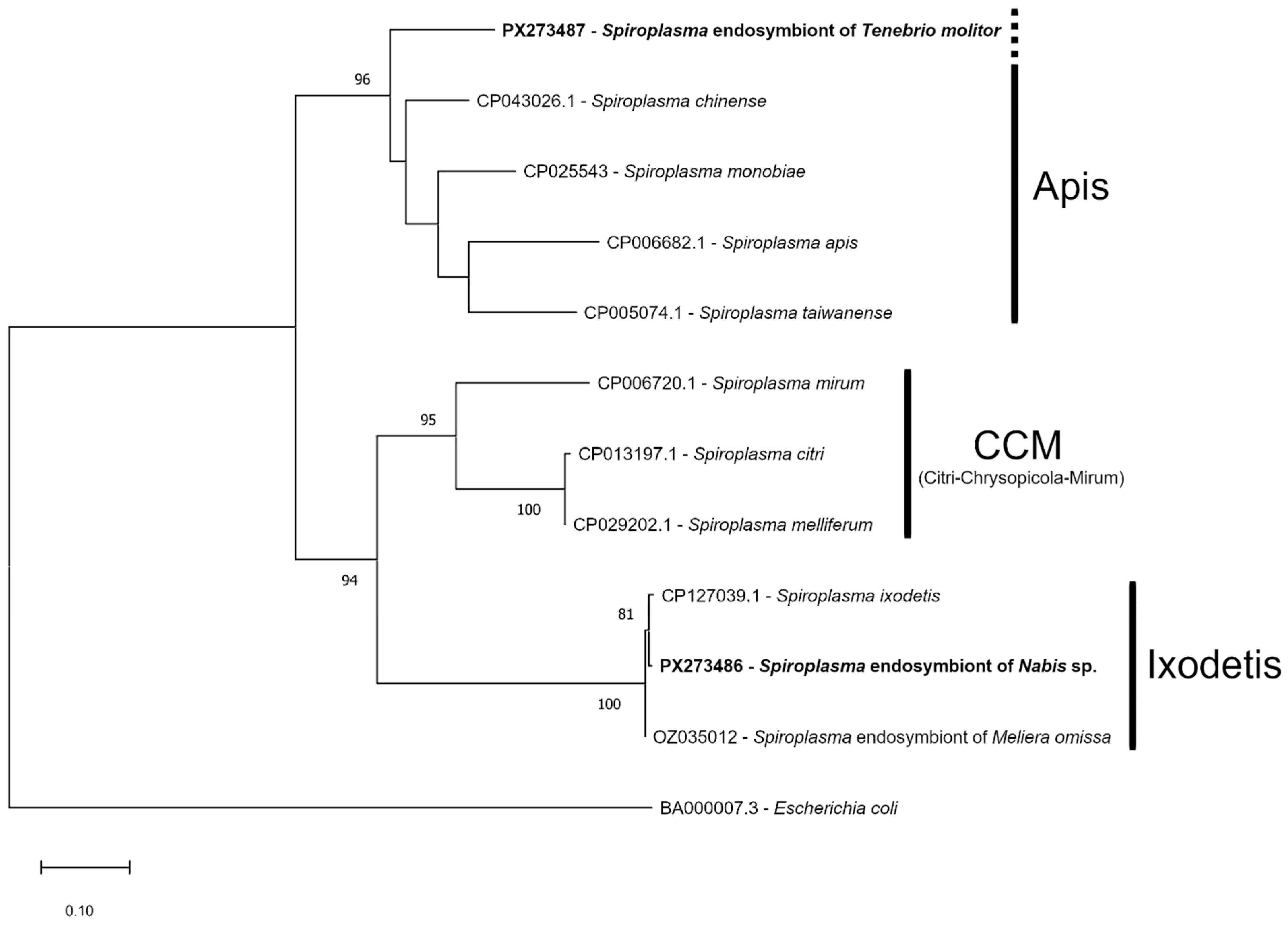 Insects 16 01168 g003