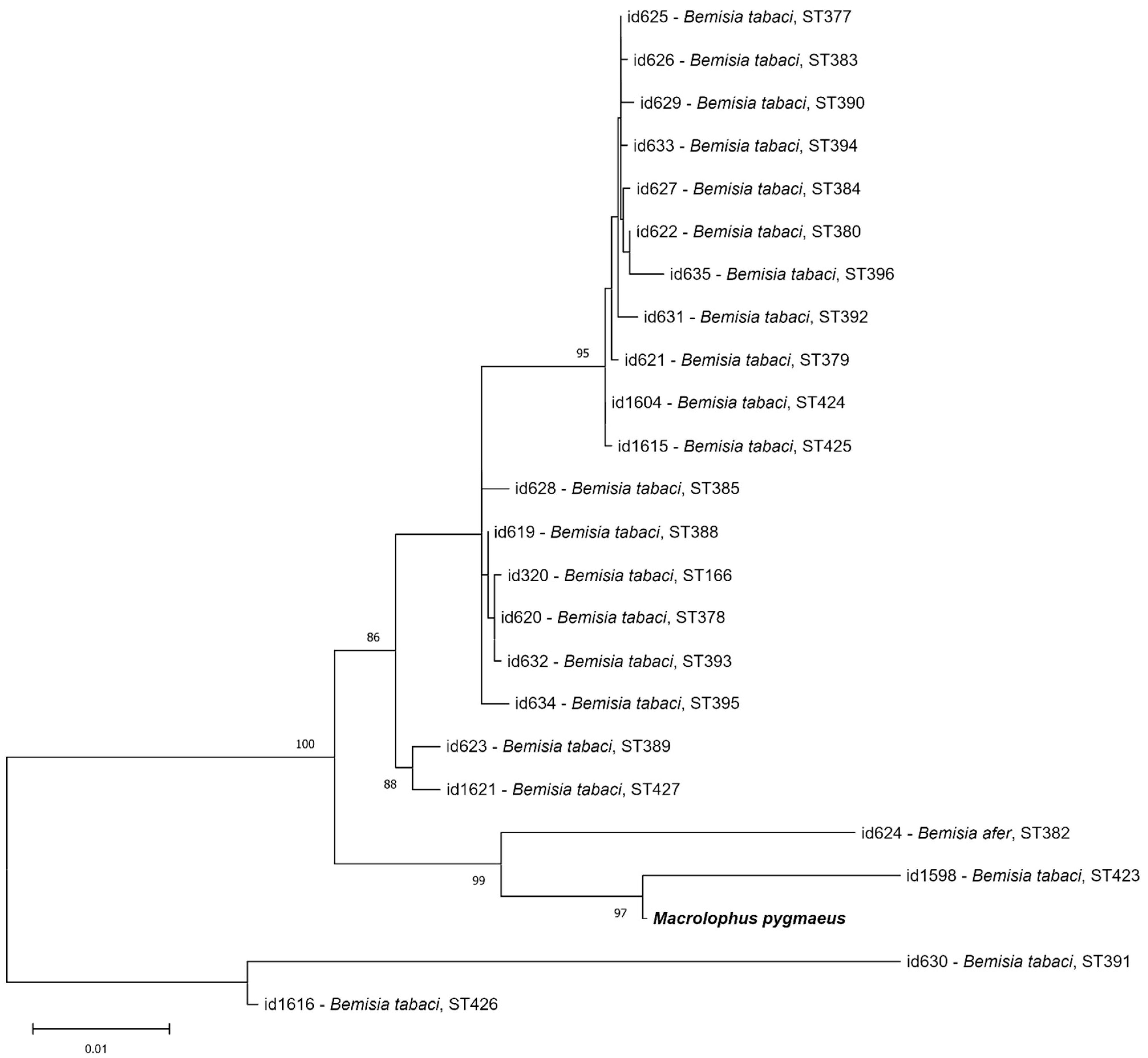 Insects 16 01168 g004
