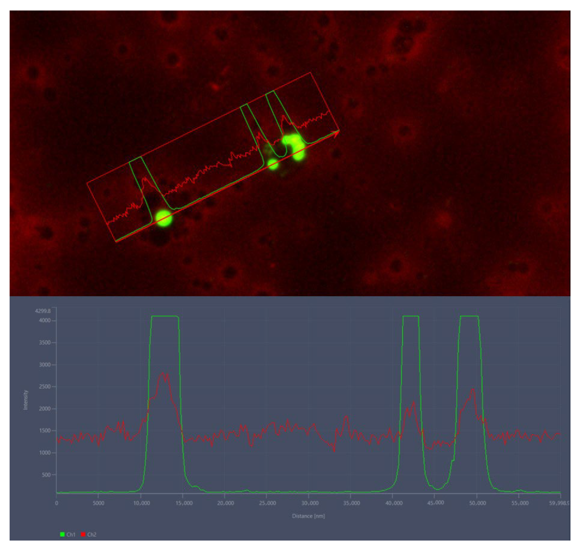 Insects 16 01169 g004 Insects 16 01169 g004