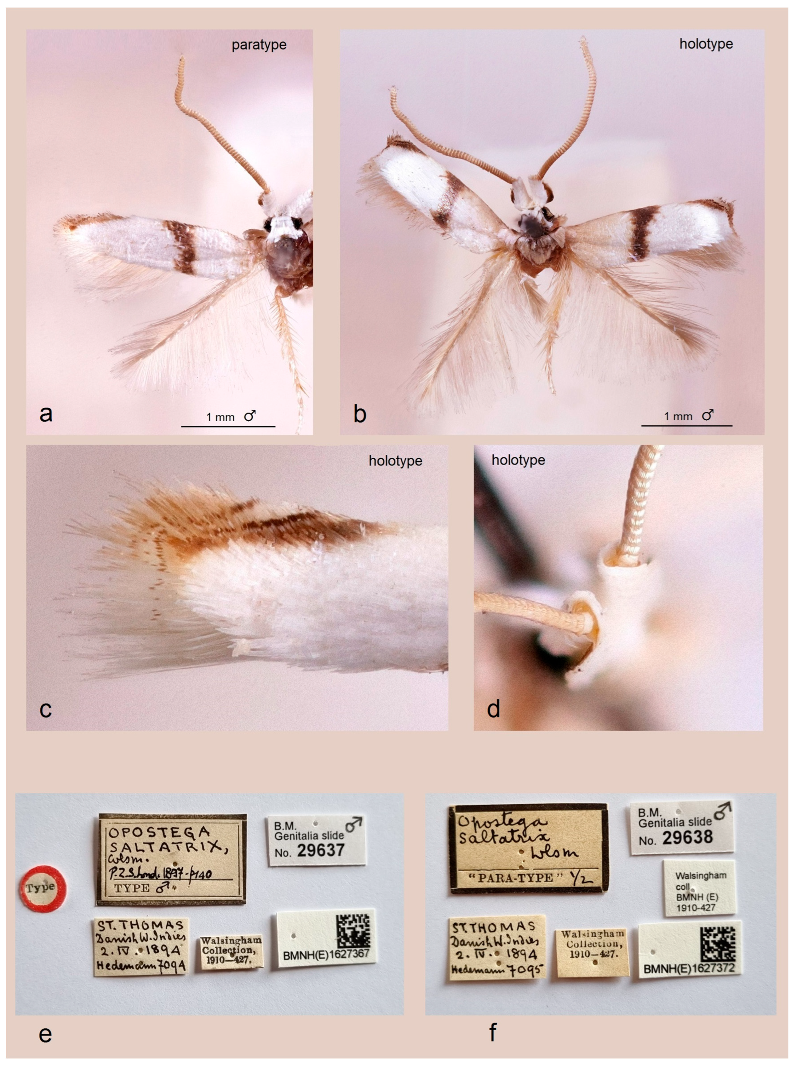 Insects 16 01170 g003