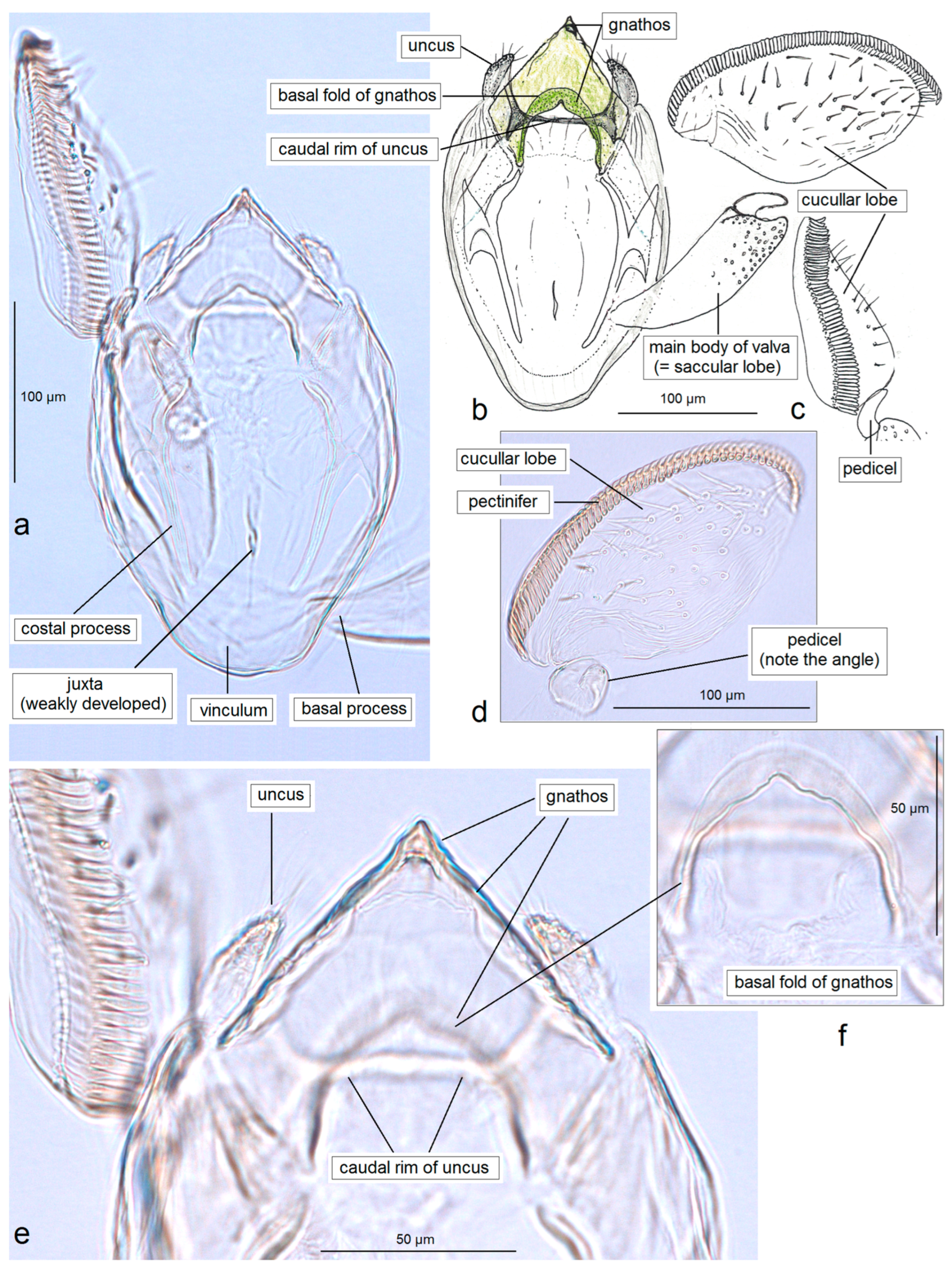 Insects 16 01170 g004