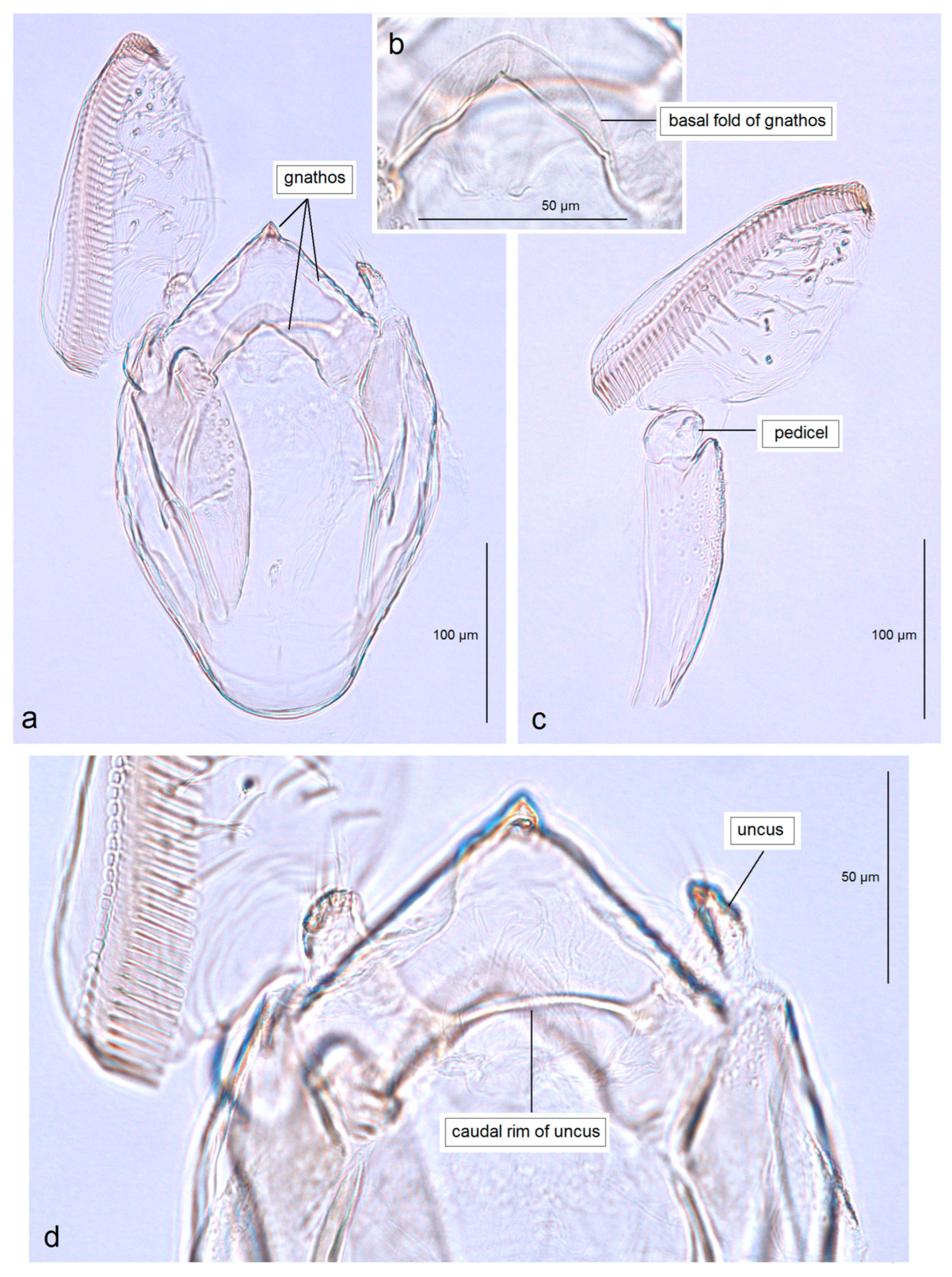 Insects 16 01170 g005