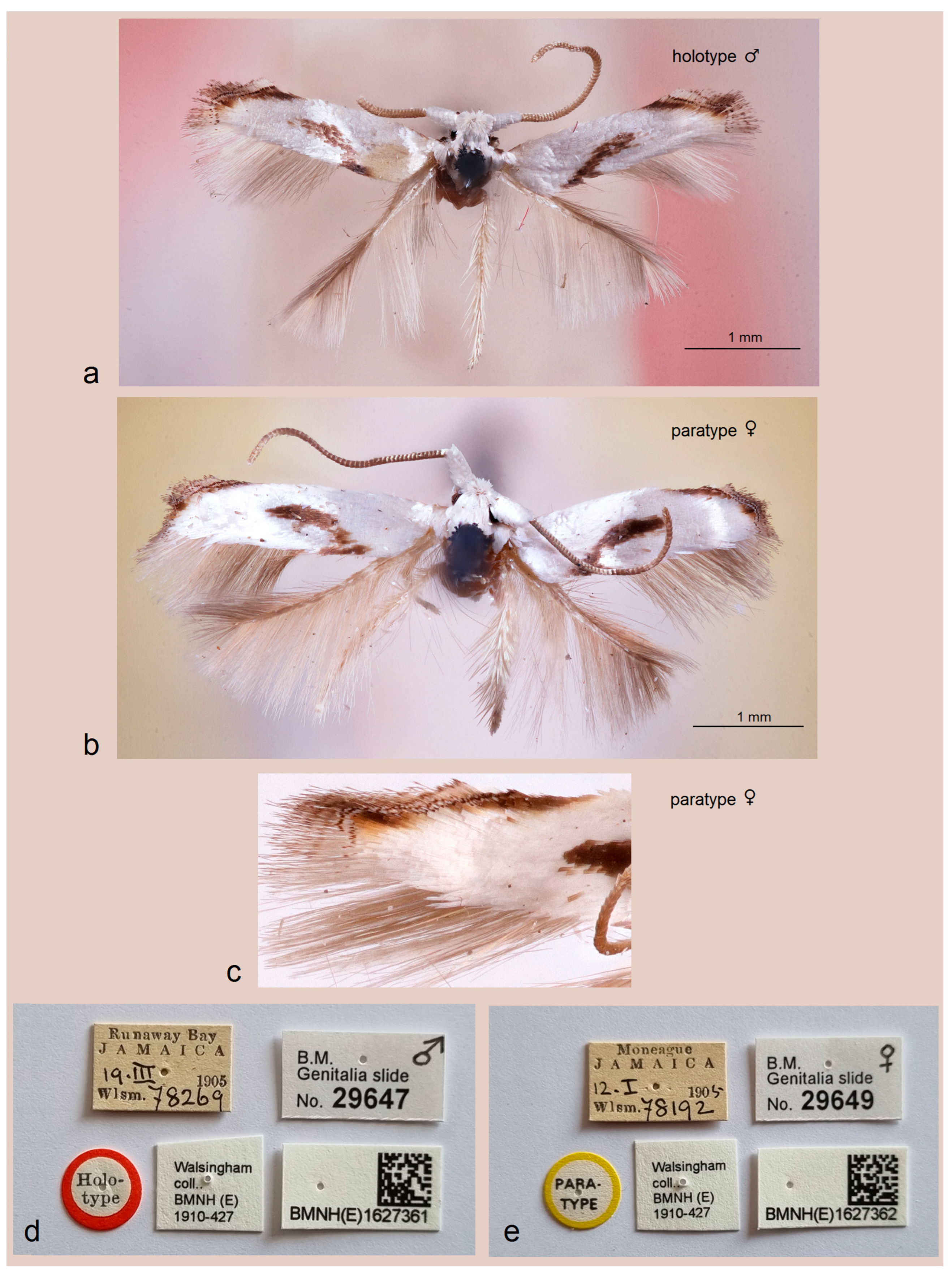 Insects 16 01170 g006