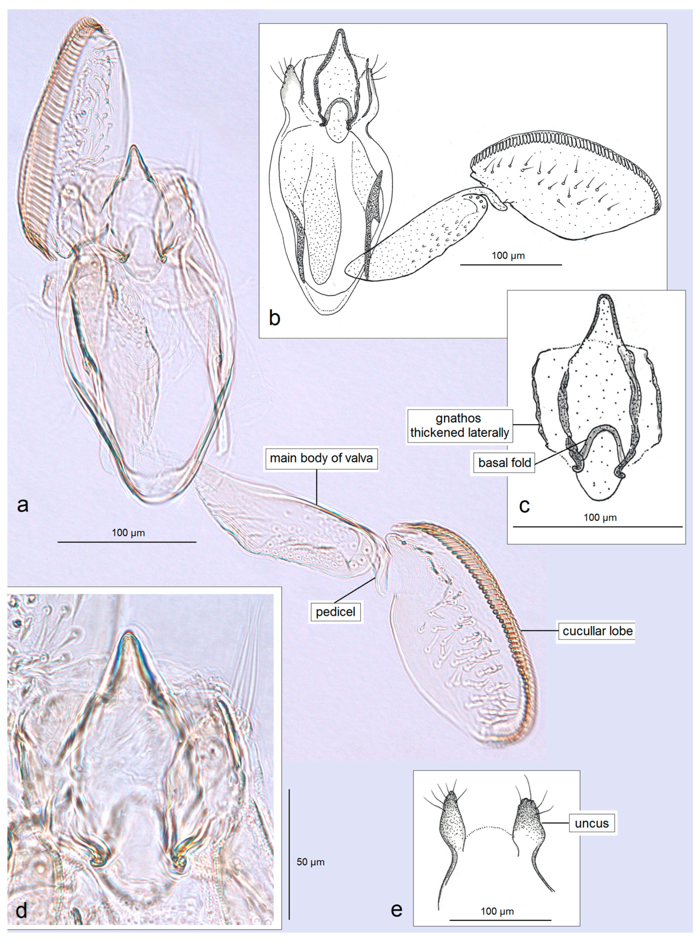 Insects 16 01170 g007