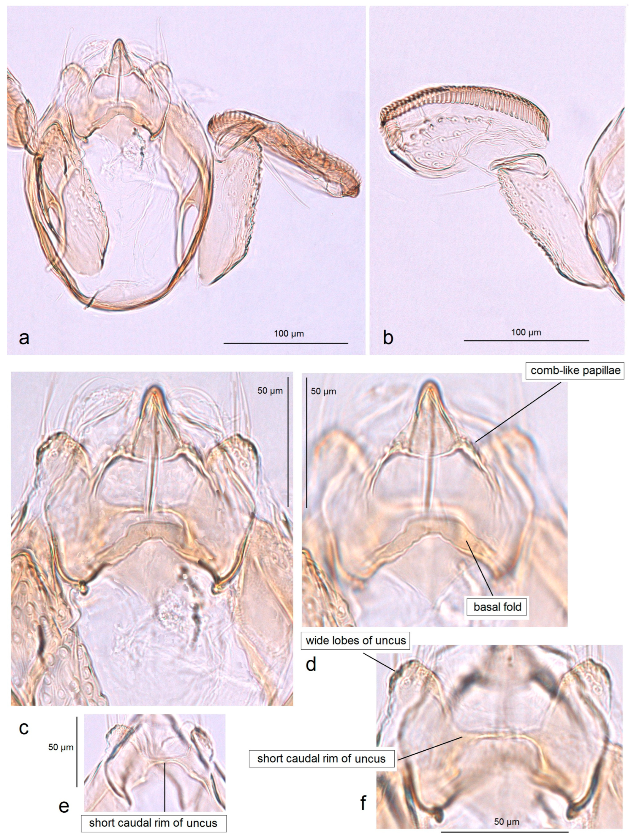 Insects 16 01170 g015