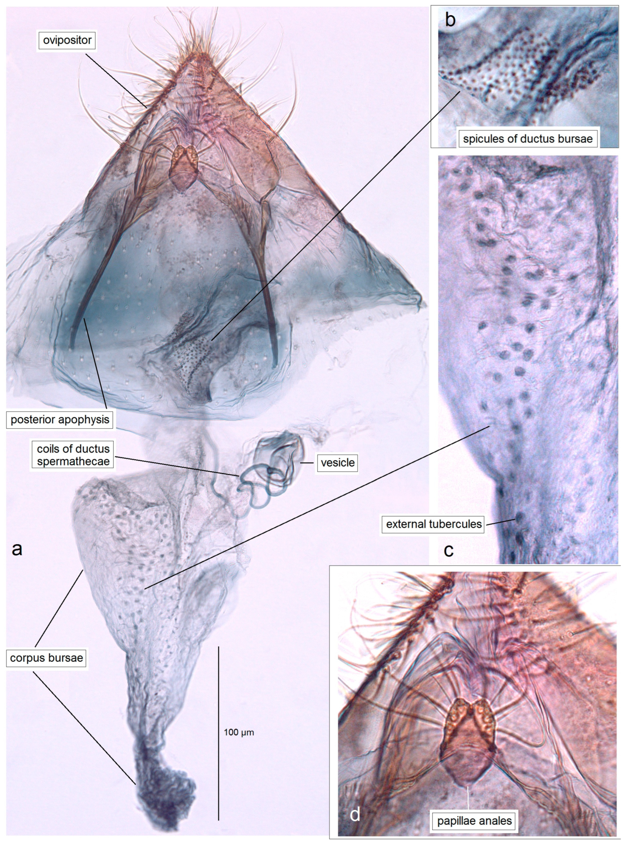 Insects 16 01170 g018