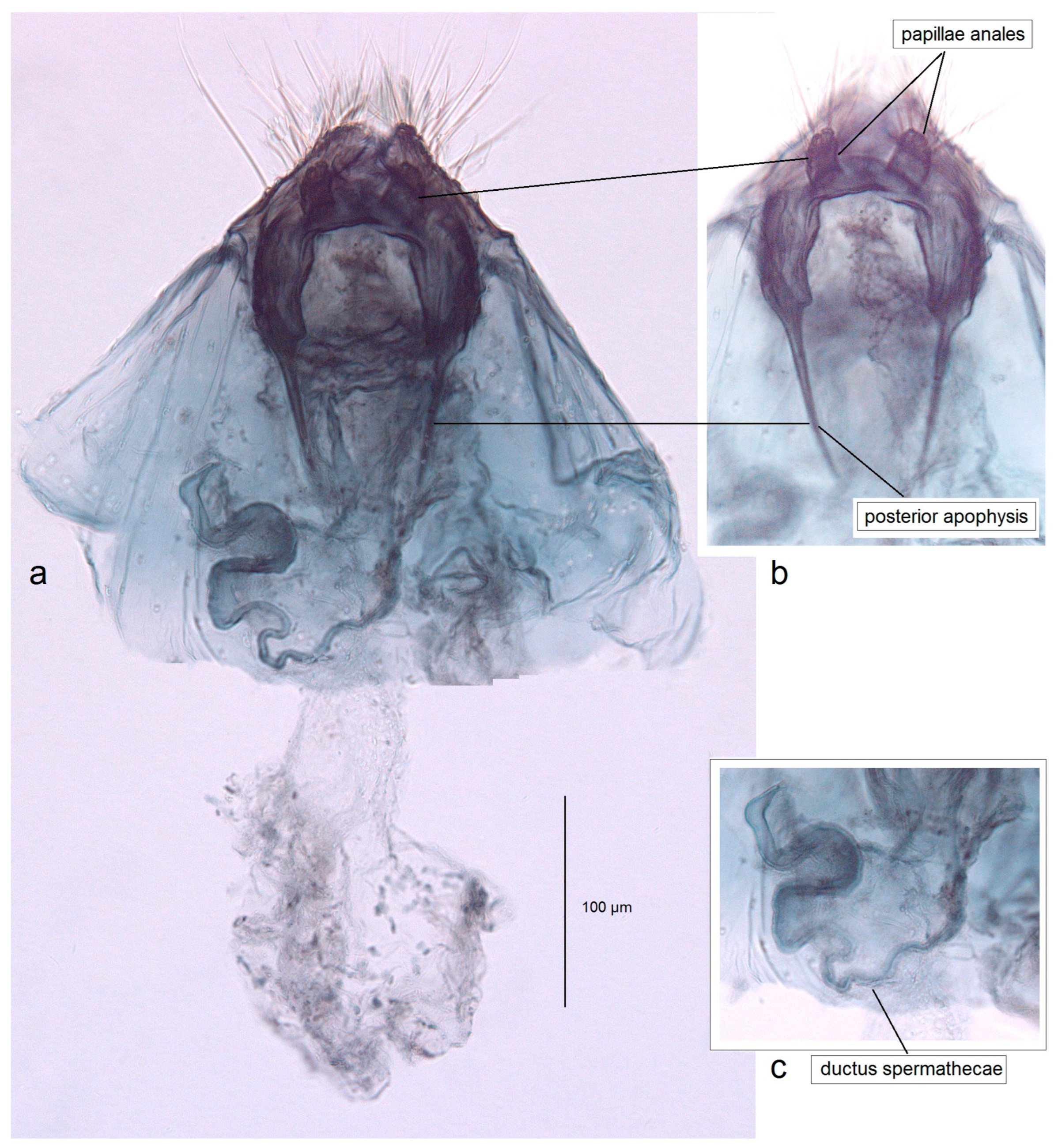 Insects 16 01170 g021