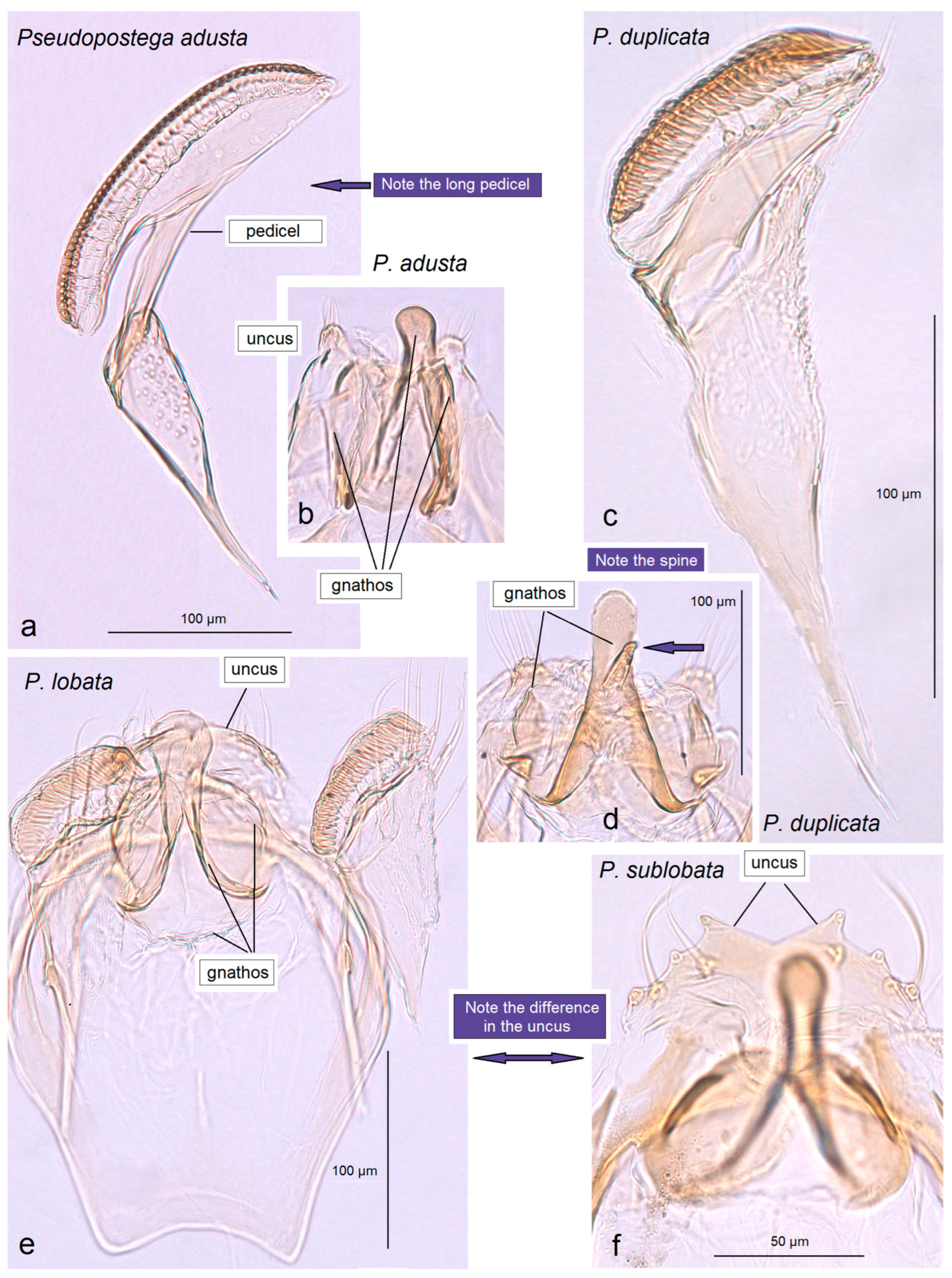Insects 16 01170 g022