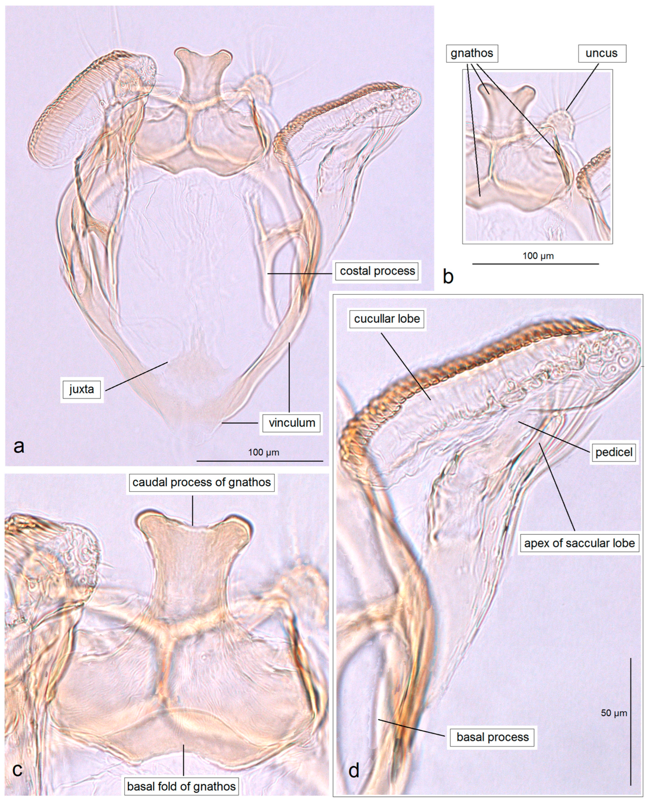 Insects 16 01170 g023