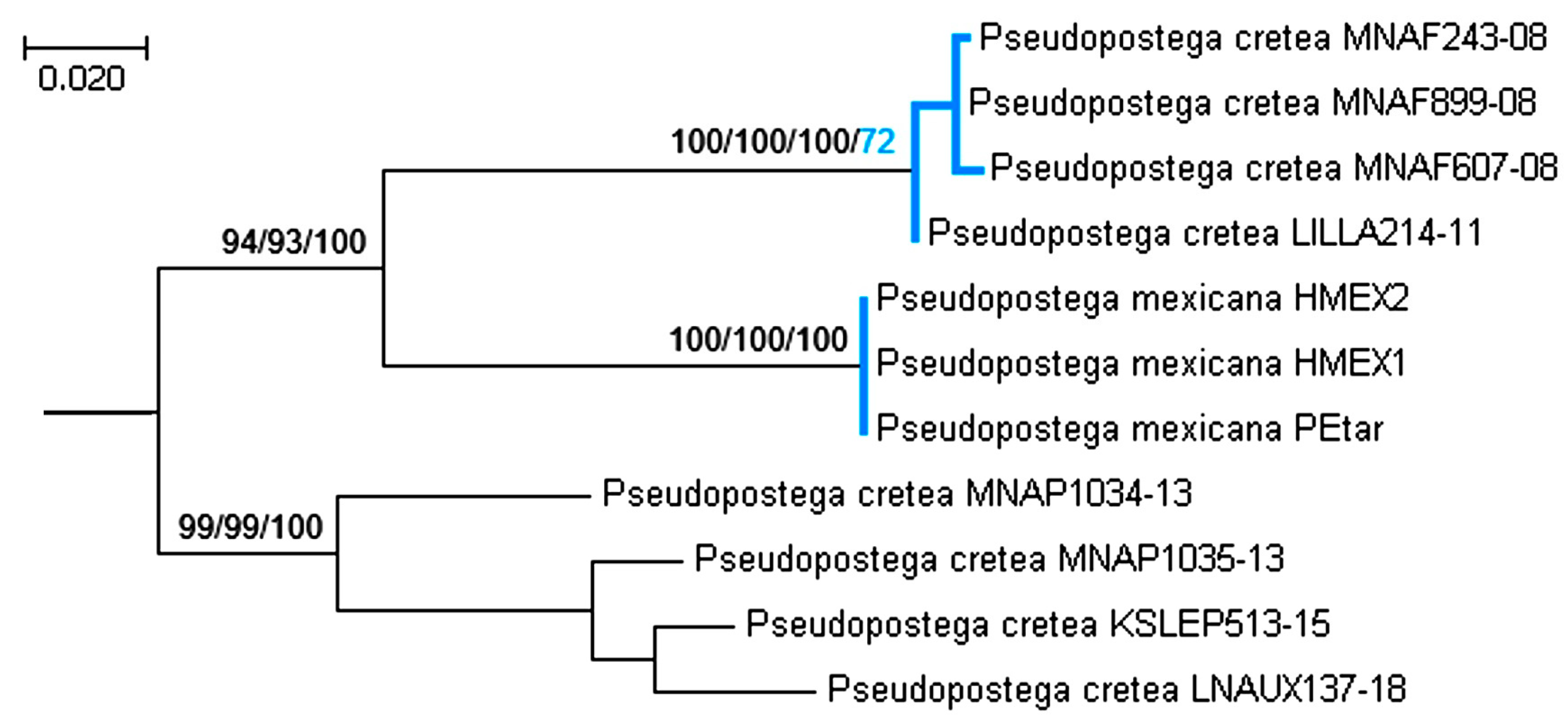 Insects 16 01170 g032