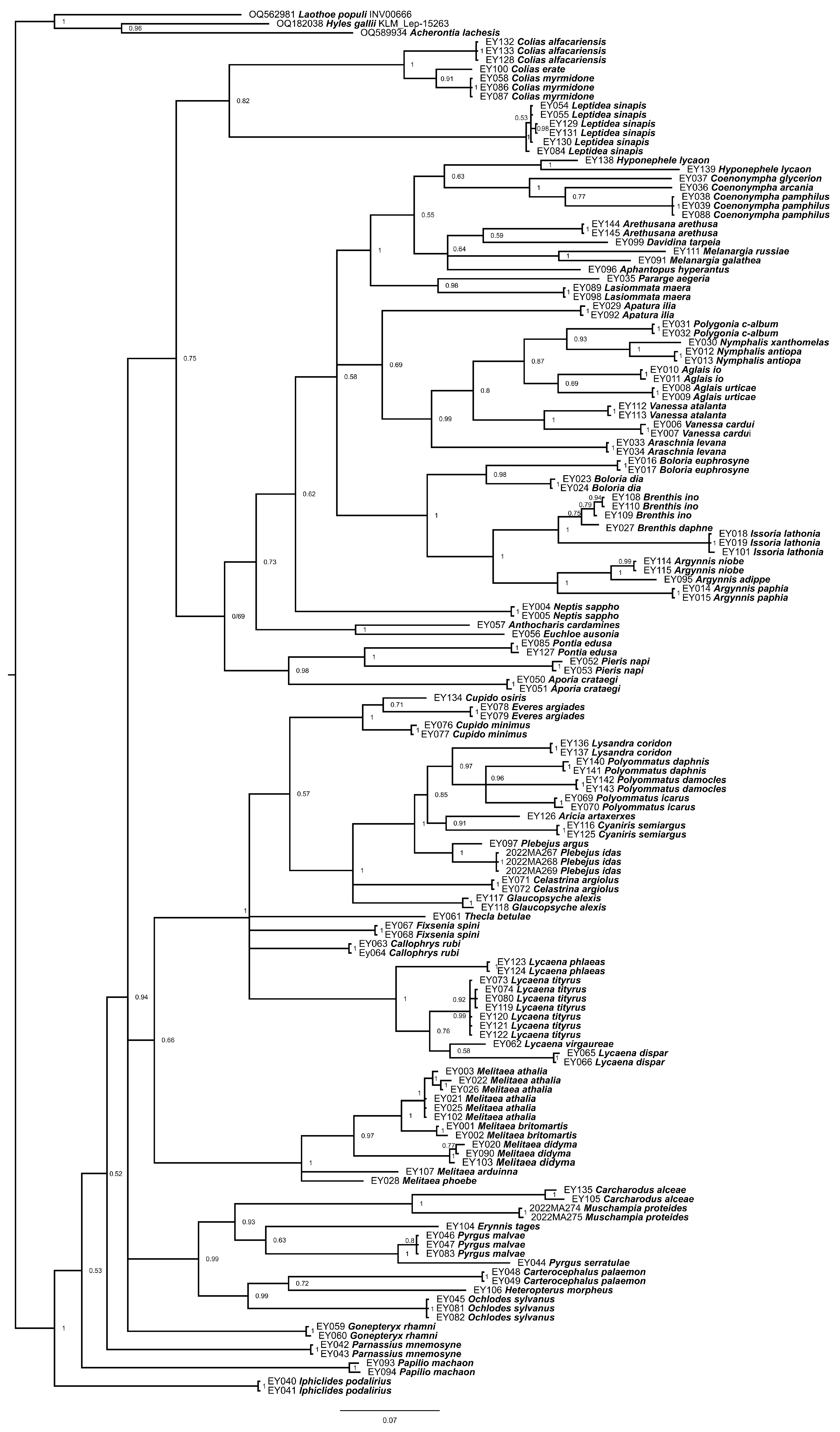 Insects 16 01172 g001
