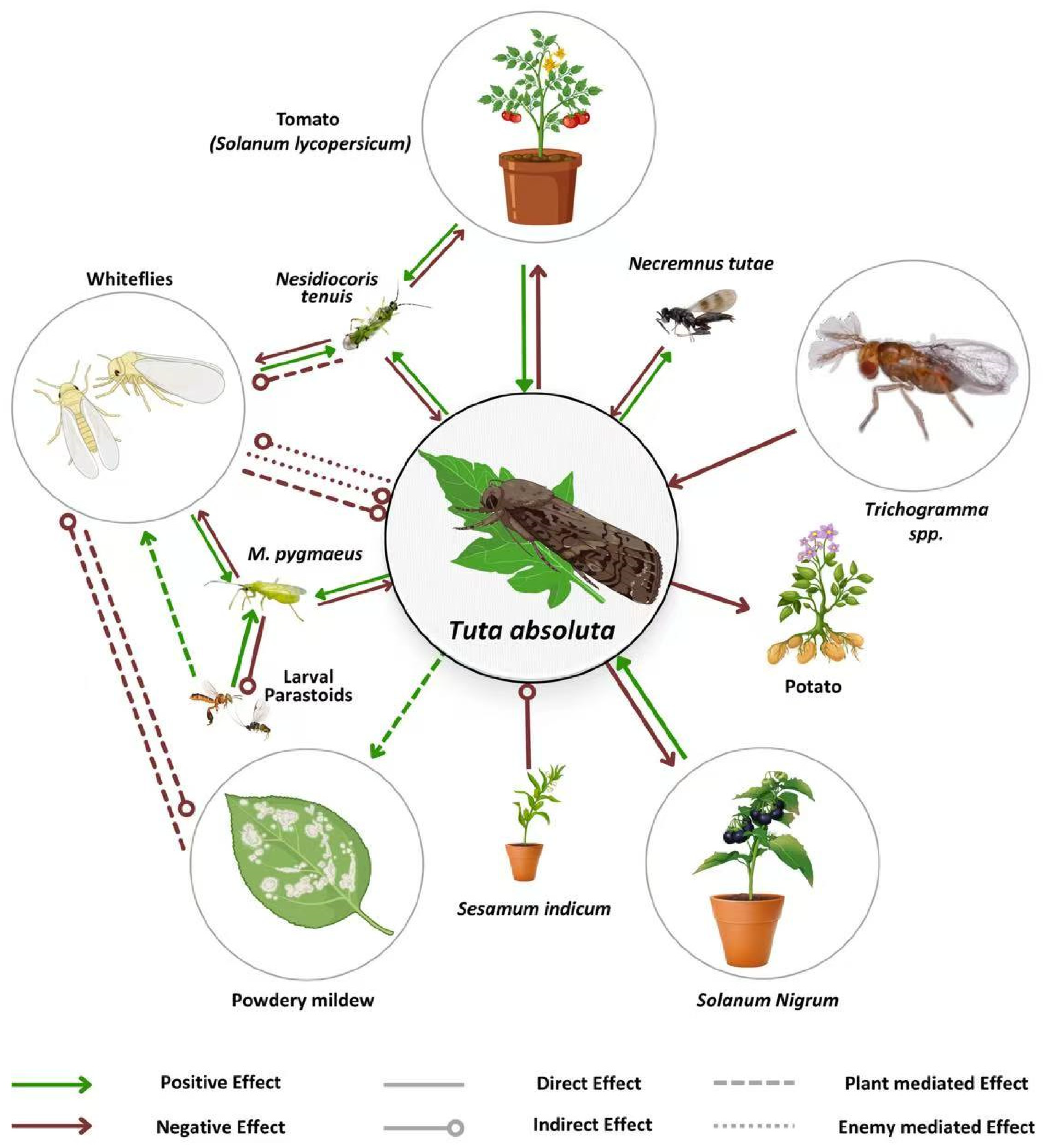 Insects 16 01173 g001