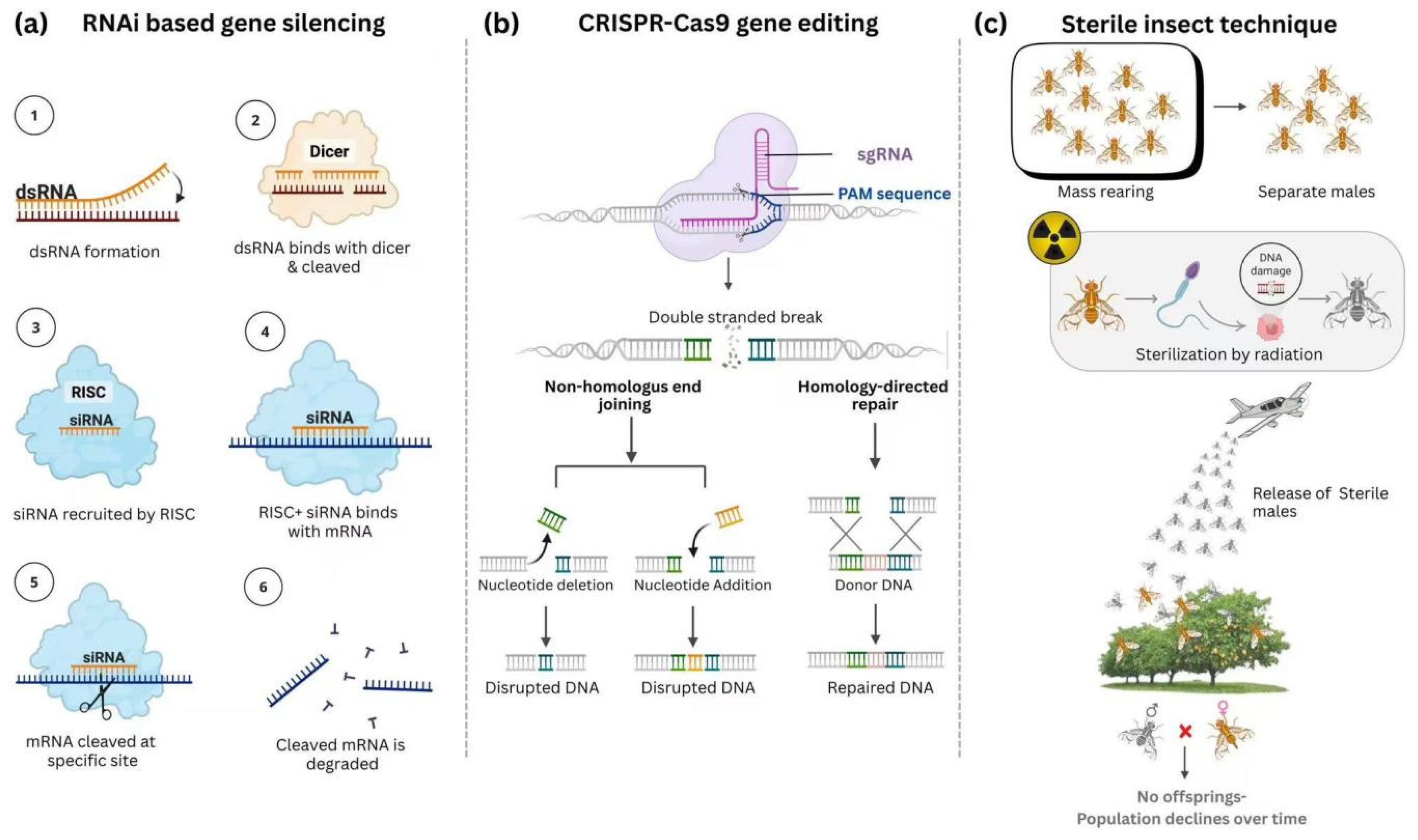 Insects 16 01173 g003
