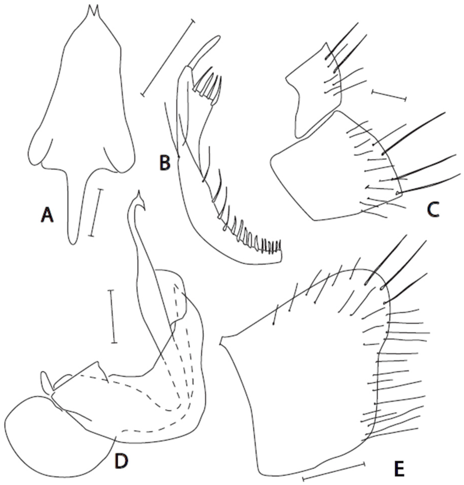 Insects 16 01177 g002