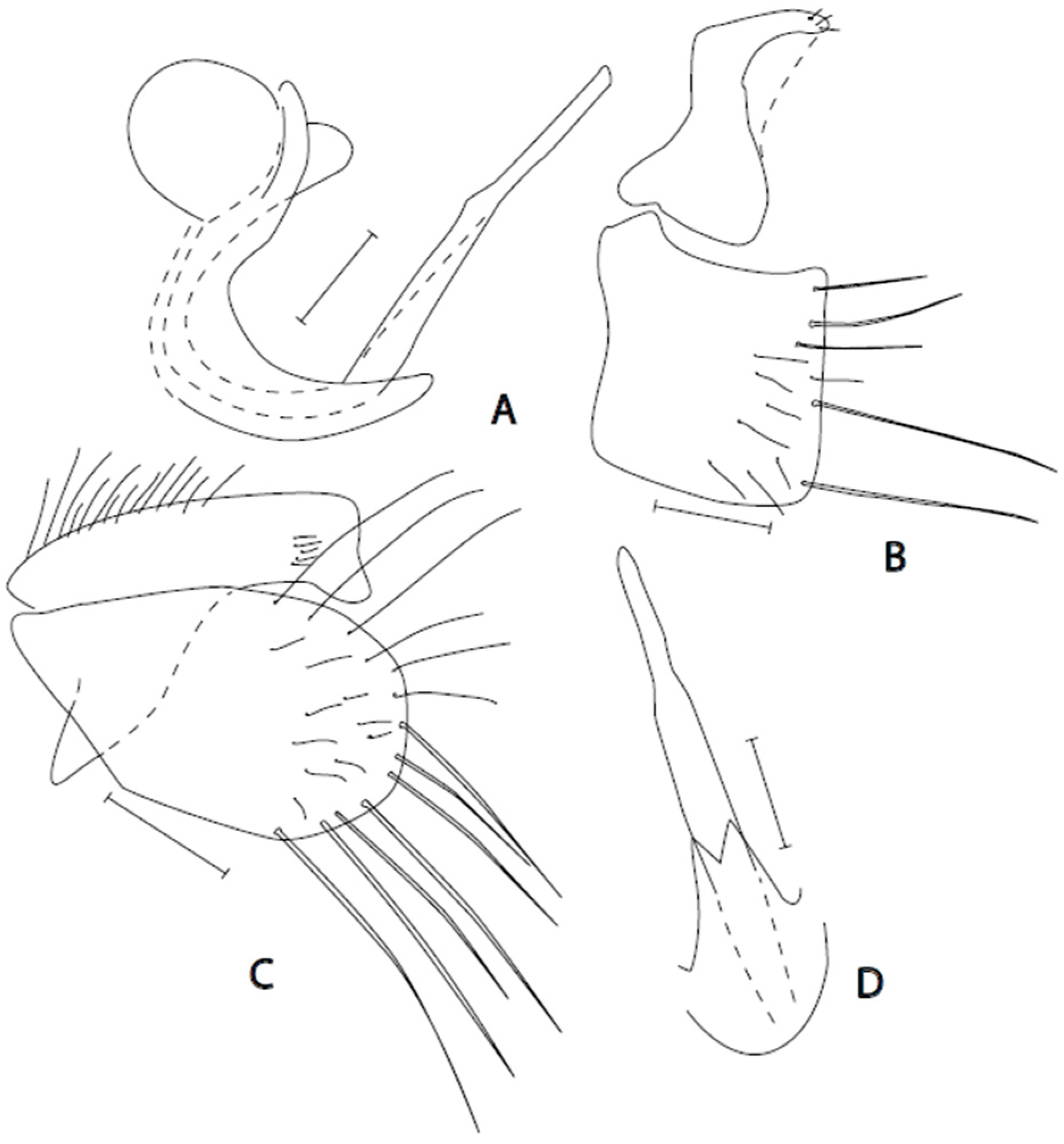Insects 16 01177 g004