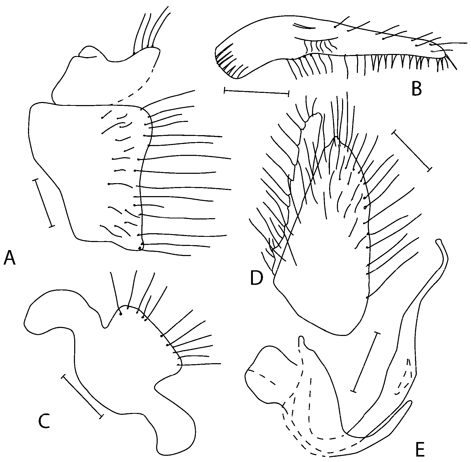 Insects 16 01177 g005