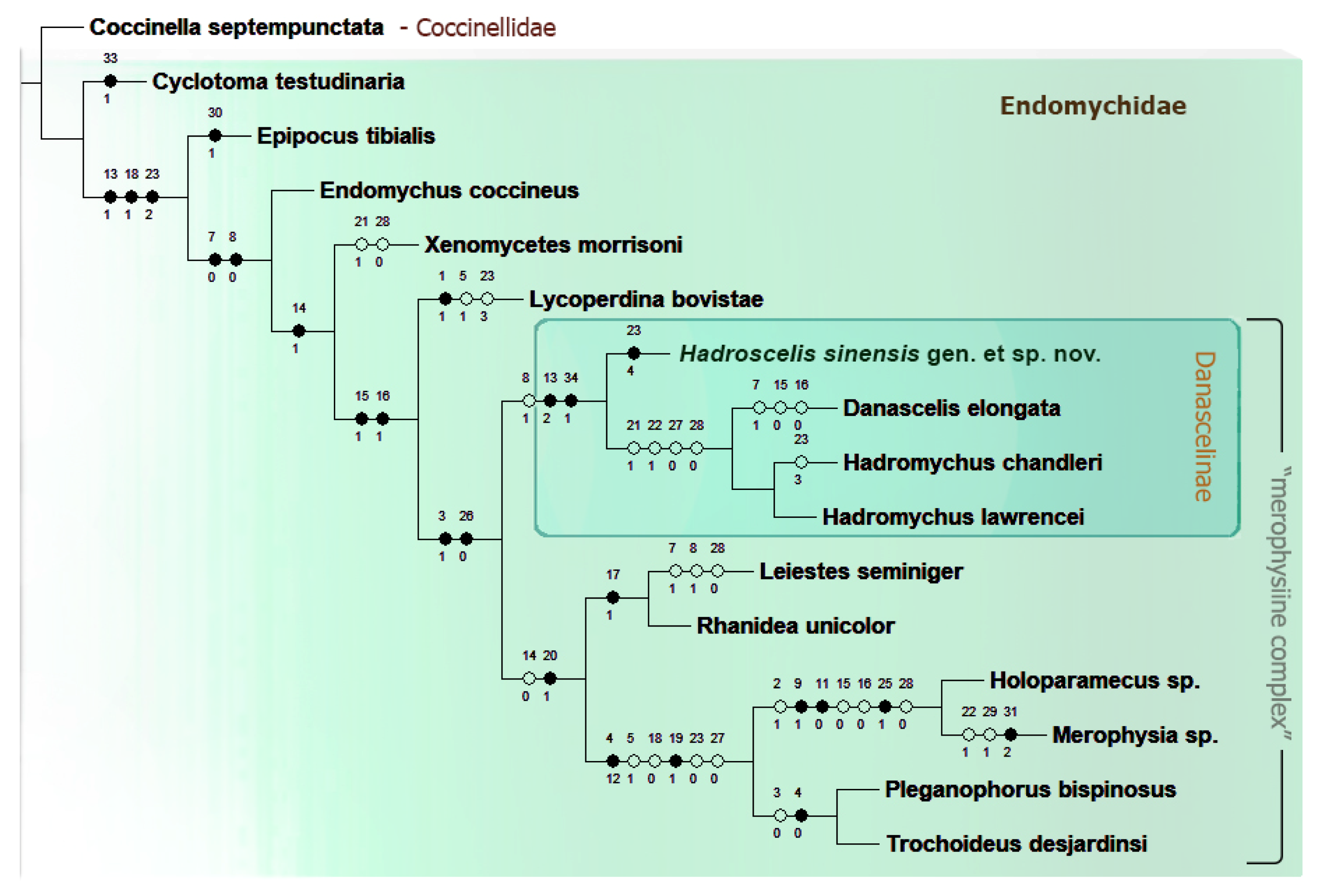Insects 16 01178 g001 Insects 16 01178 g001