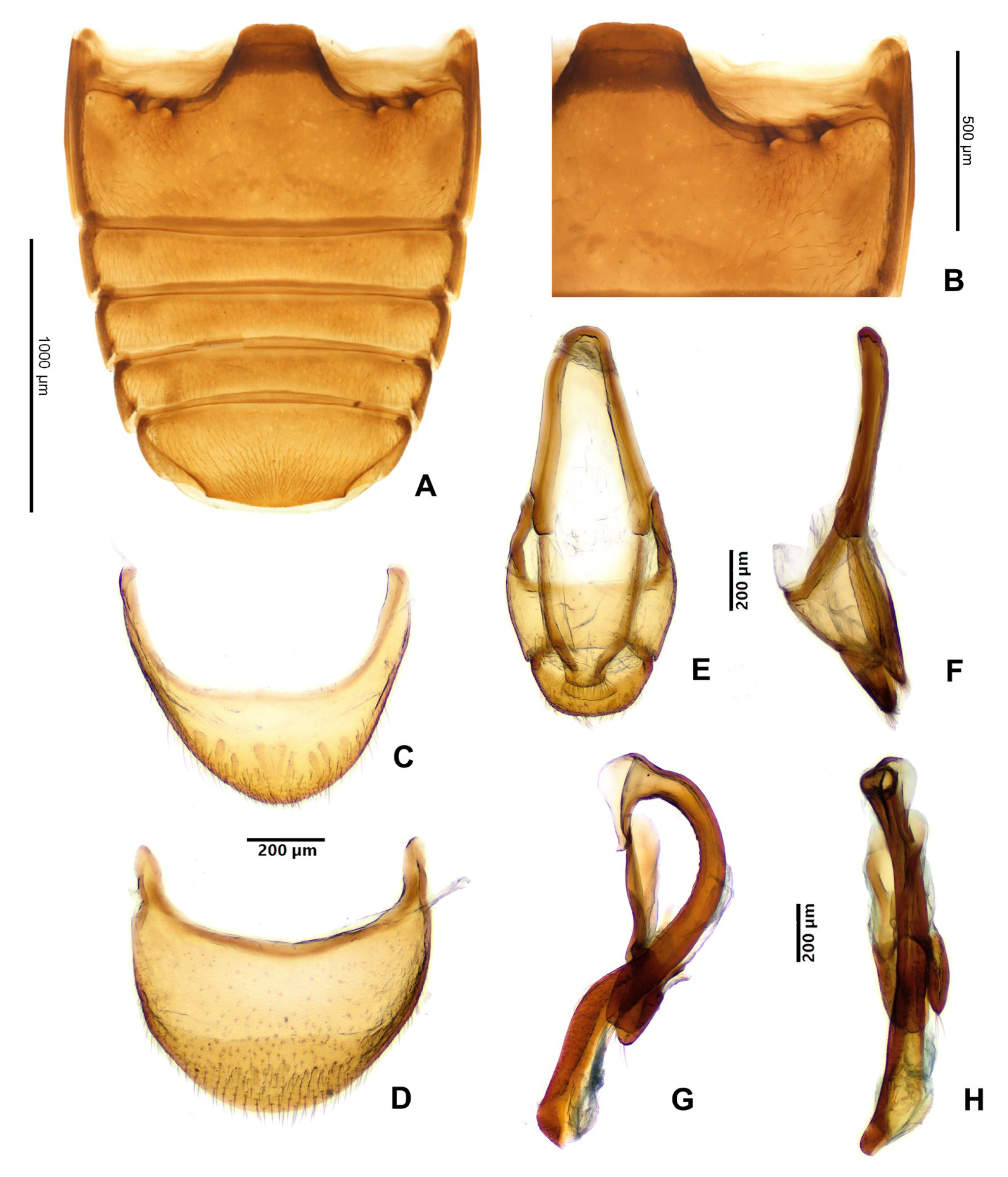 Insects 16 01178 g005 Insects 16 01178 g005
