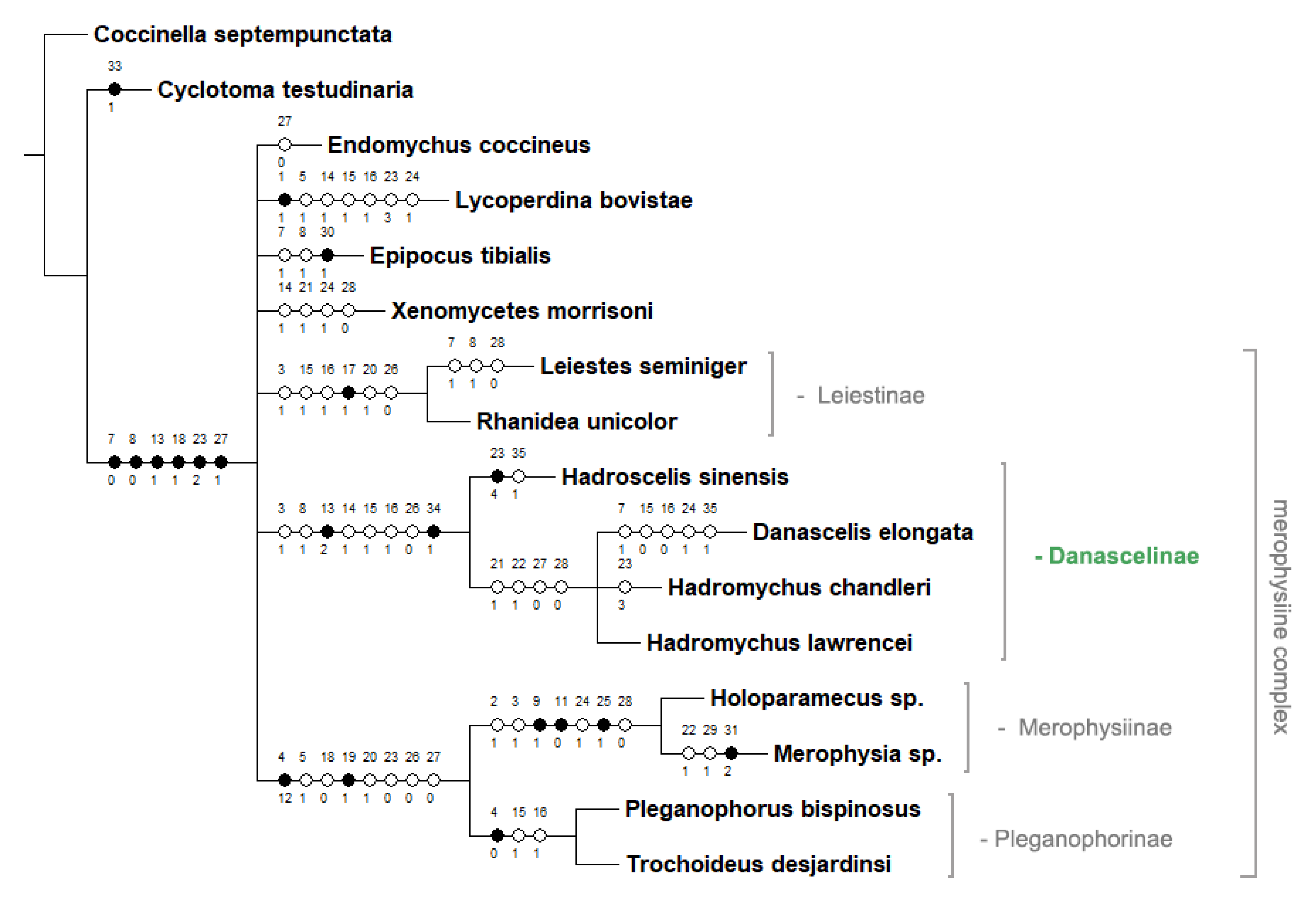 Insects 16 01178 i002 Insects 16 01178 i002
