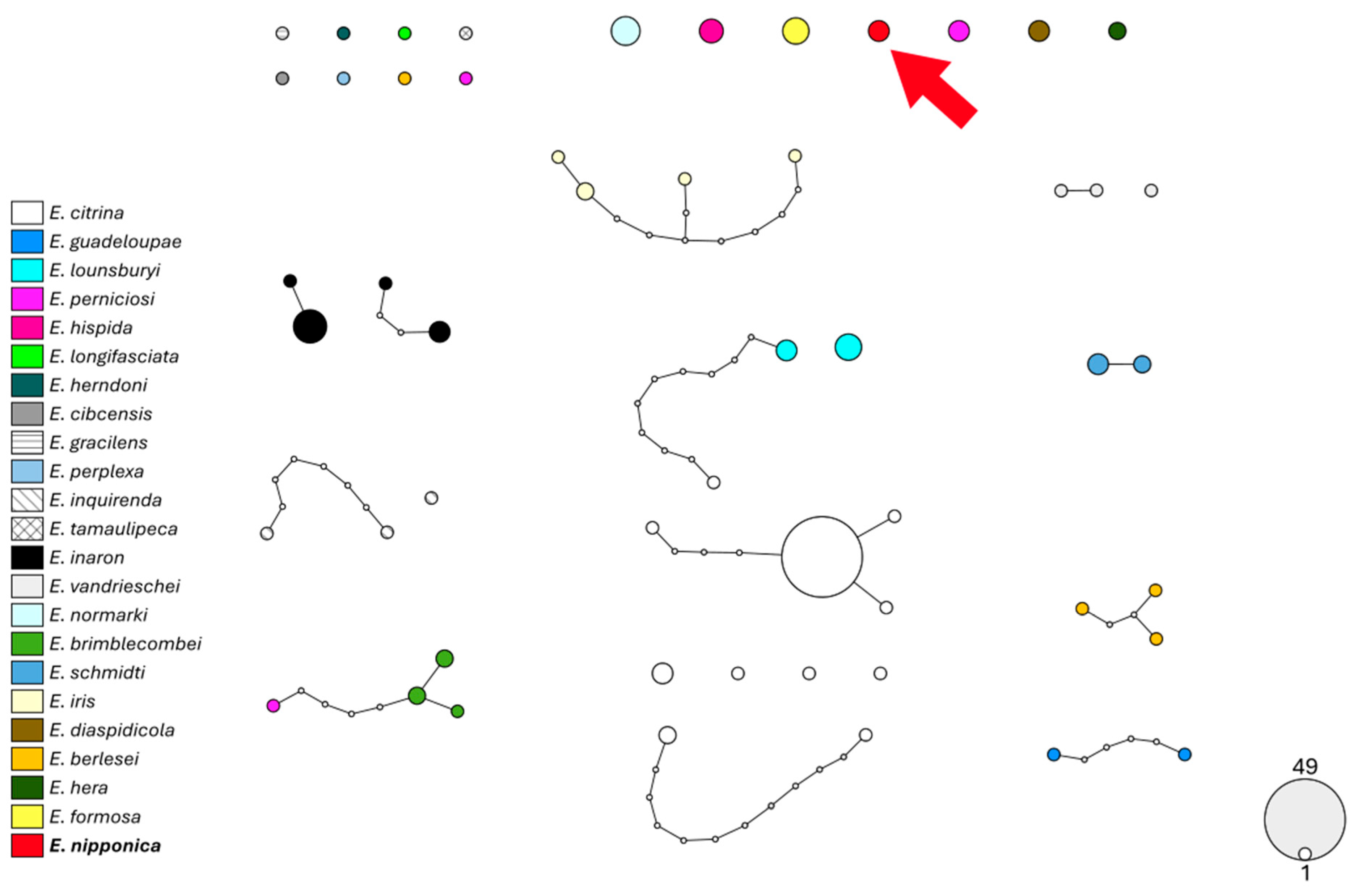 Insects 16 01181 g006