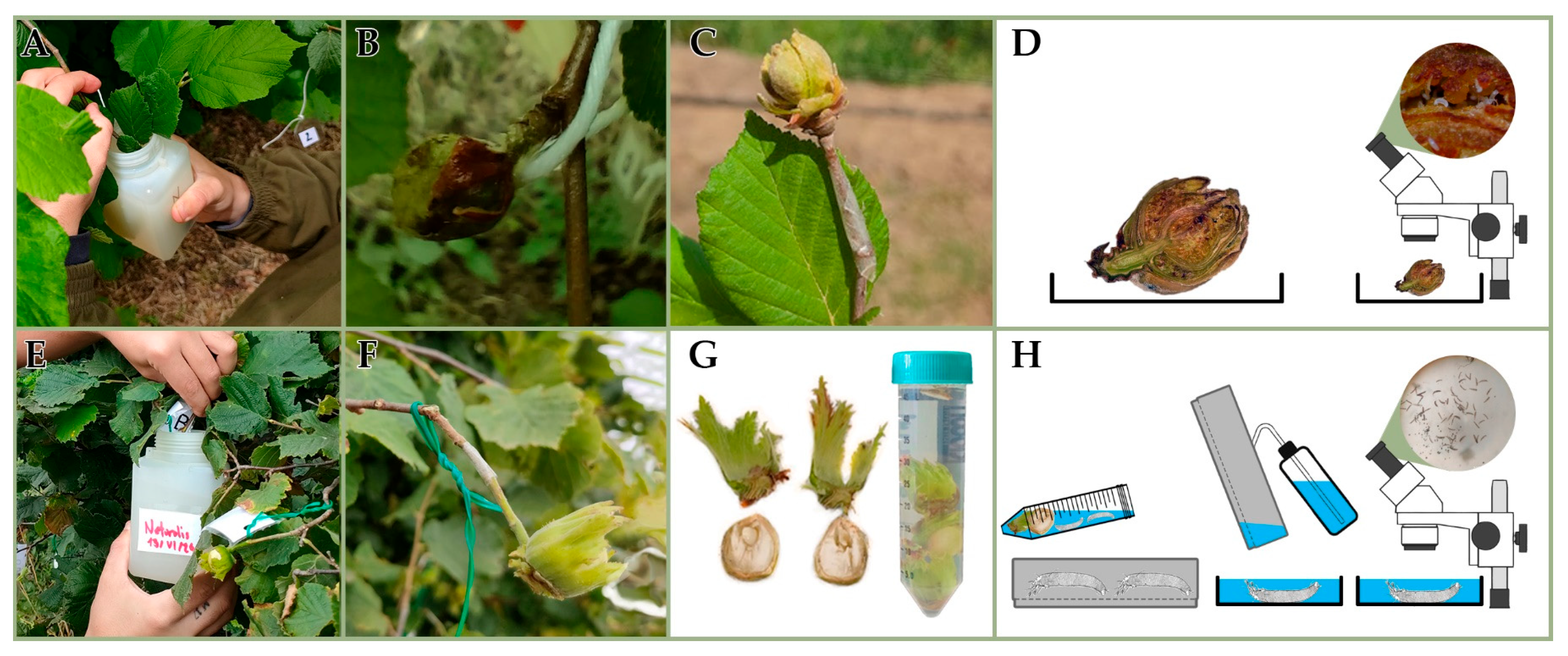 Insects 16 01182 g002