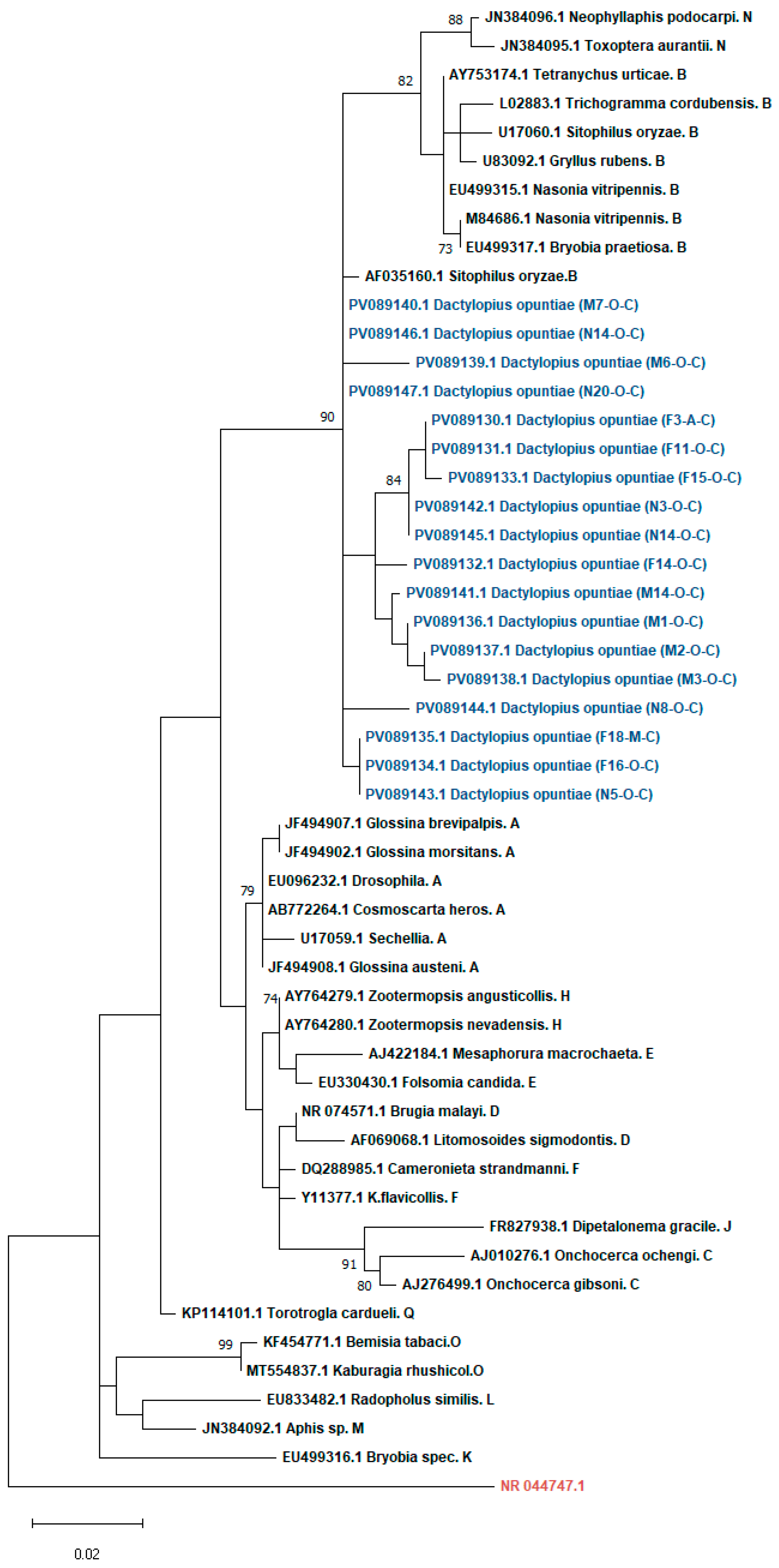 Insects 16 01184 g001